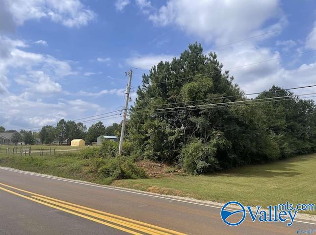 PIN 63868 Old Railroad Bed Road, Harvest, Alabama image 2