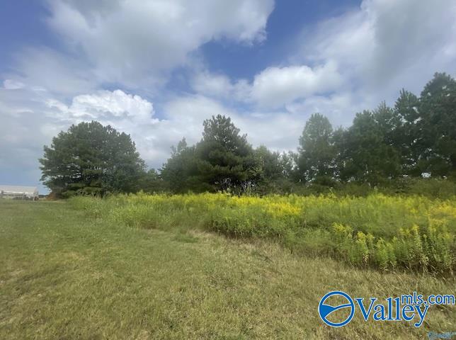 PIN 63868 Old Railroad Bed Road, Harvest, Alabama image 11