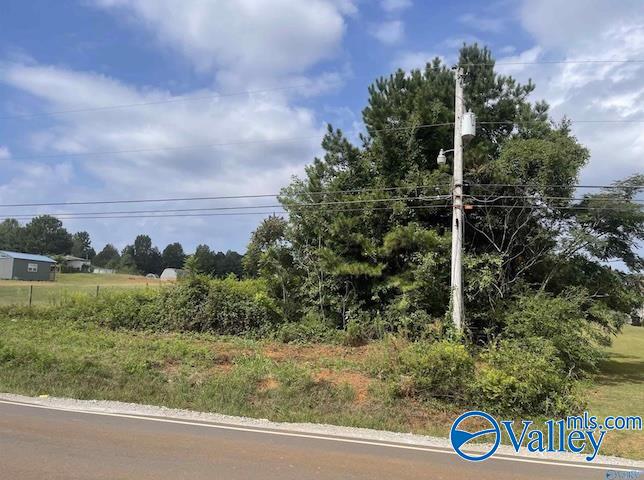 PIN 63868 Old Railroad Bed Road, Harvest, Alabama image 3