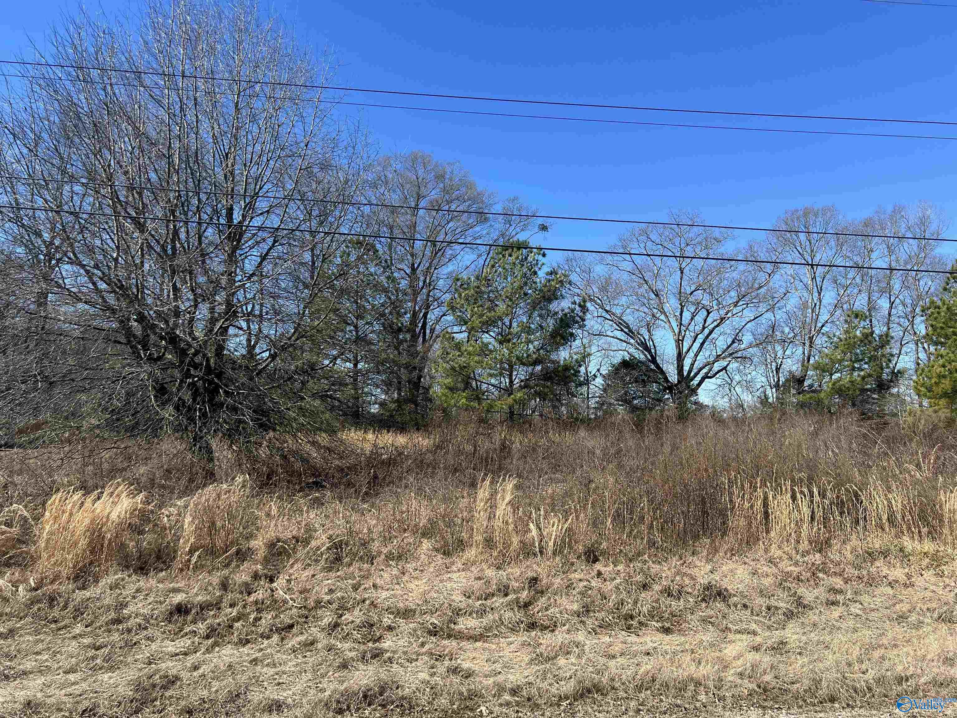 Lot 22 County Road 487, Moulton, Alabama image 3