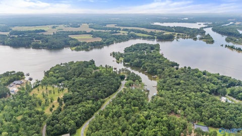 Vacant Land For Sale - 28C County Road 819<br/> Cherokee County, Cedar Bluff, AL 35959