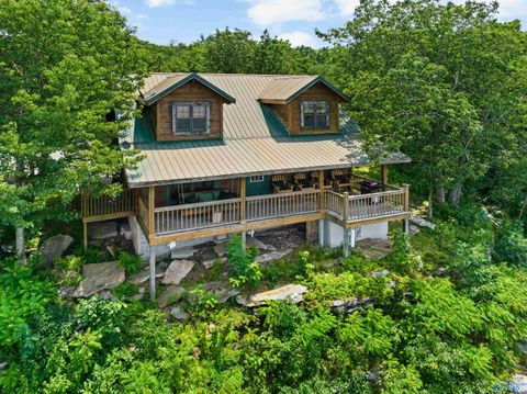 Photo of 25777 County Road 89, Mentone, AL 35984 (MLS # 21911673)