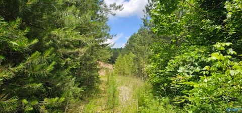 Vacant Land For Sale - 3.3+/- ACRES--0 County Road 27<br/> Dekalb County, Fort Payne, AL 35968