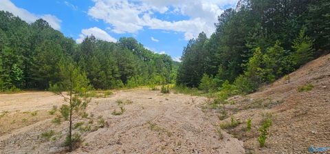 Vacant Land For Sale - 3.3+/- ACRES--0 County Road 27<br/> Fort Payne, AL 35968