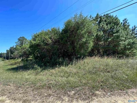 Vacant Land For Sale - 3.2 ACRES Hwy 35<br/> Hamilton, AL 35570