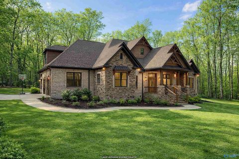 Photo of 75 Marvin Brown Road, Danville, AL 35619 (MLS # 21911546)