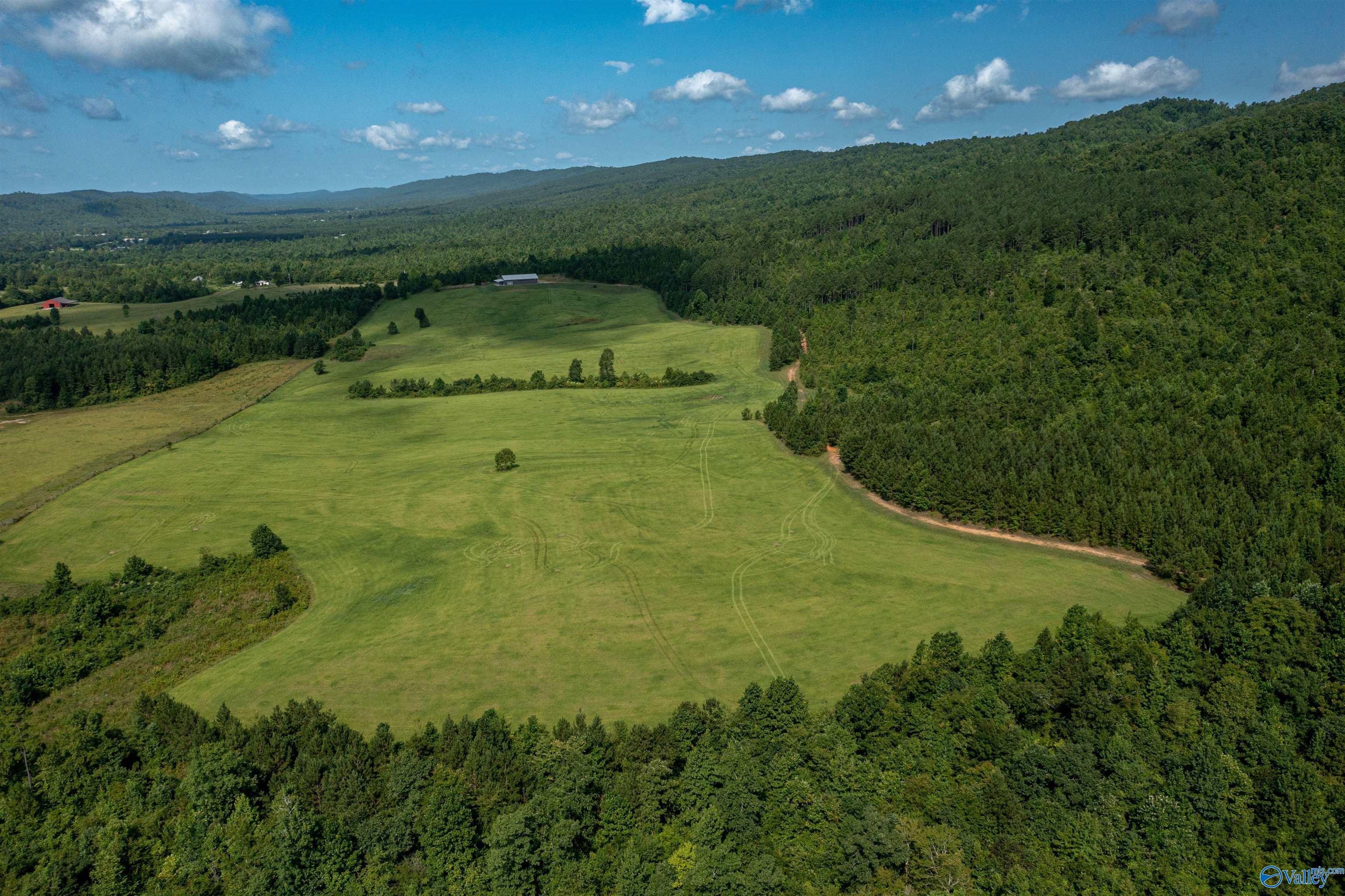 450 Armstrong Road, Ashville, Alabama image 10