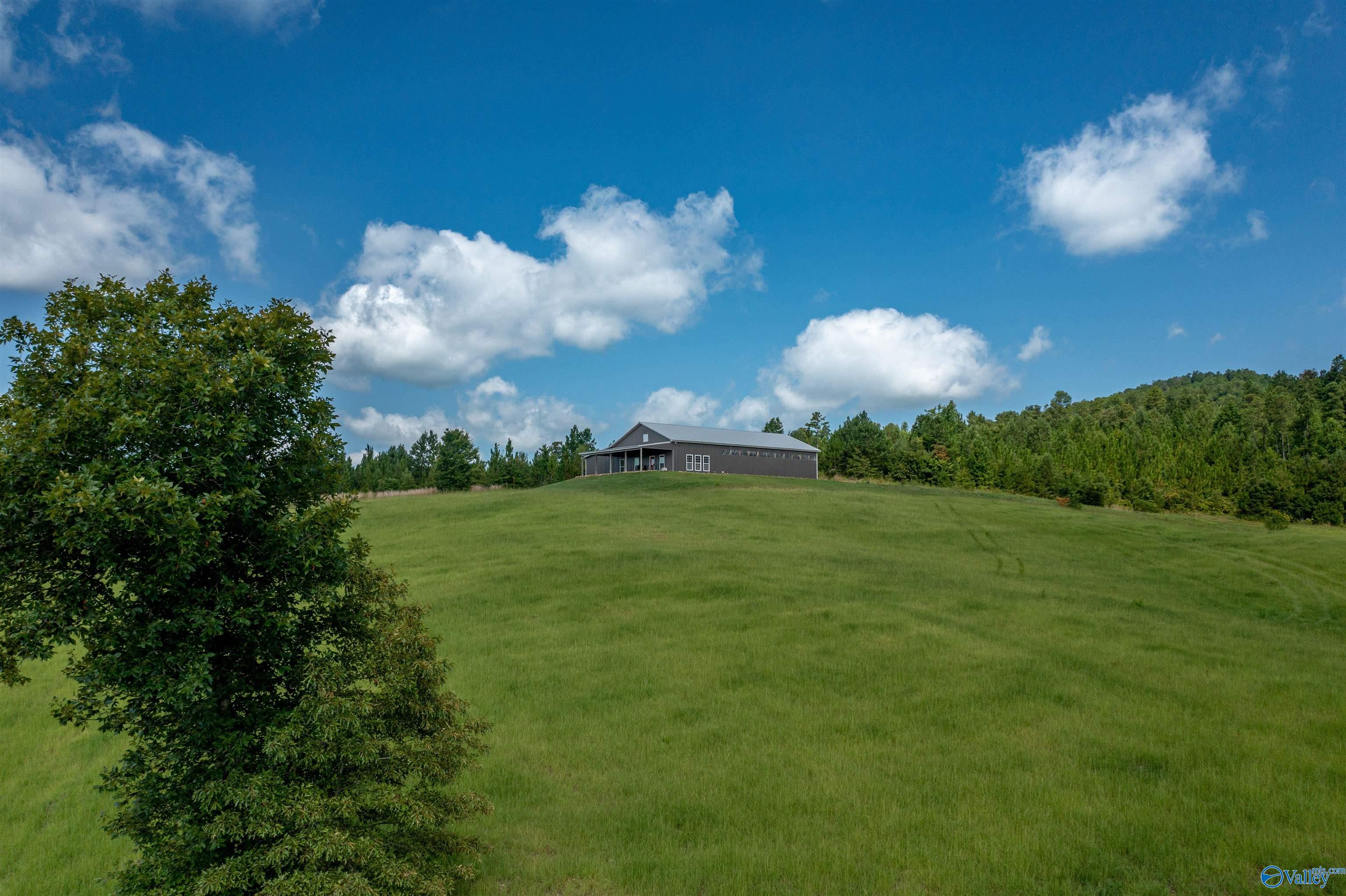 450 Armstrong Road, Ashville, Alabama image 6