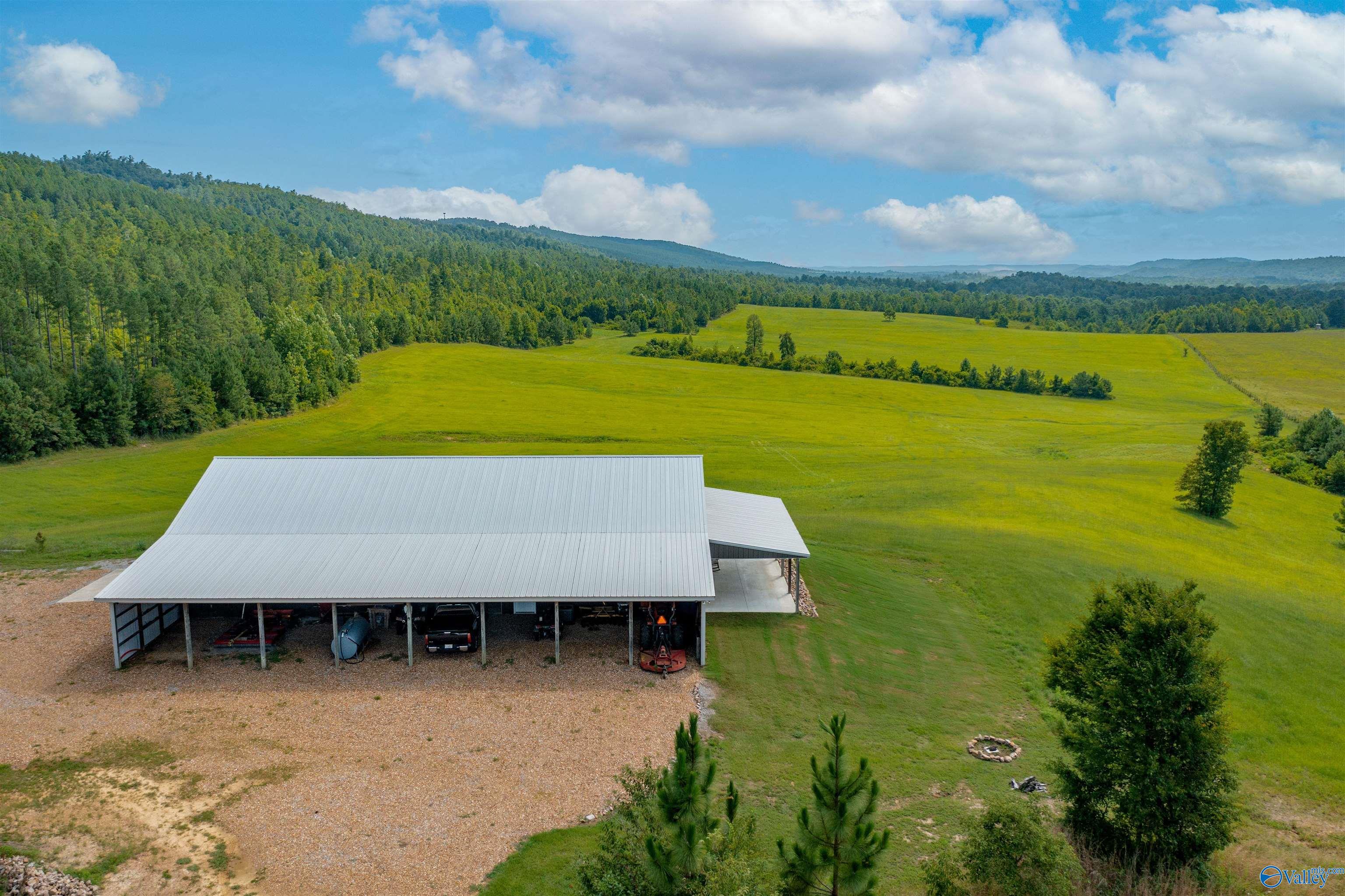 450 Armstrong Road, Ashville, Alabama image 2