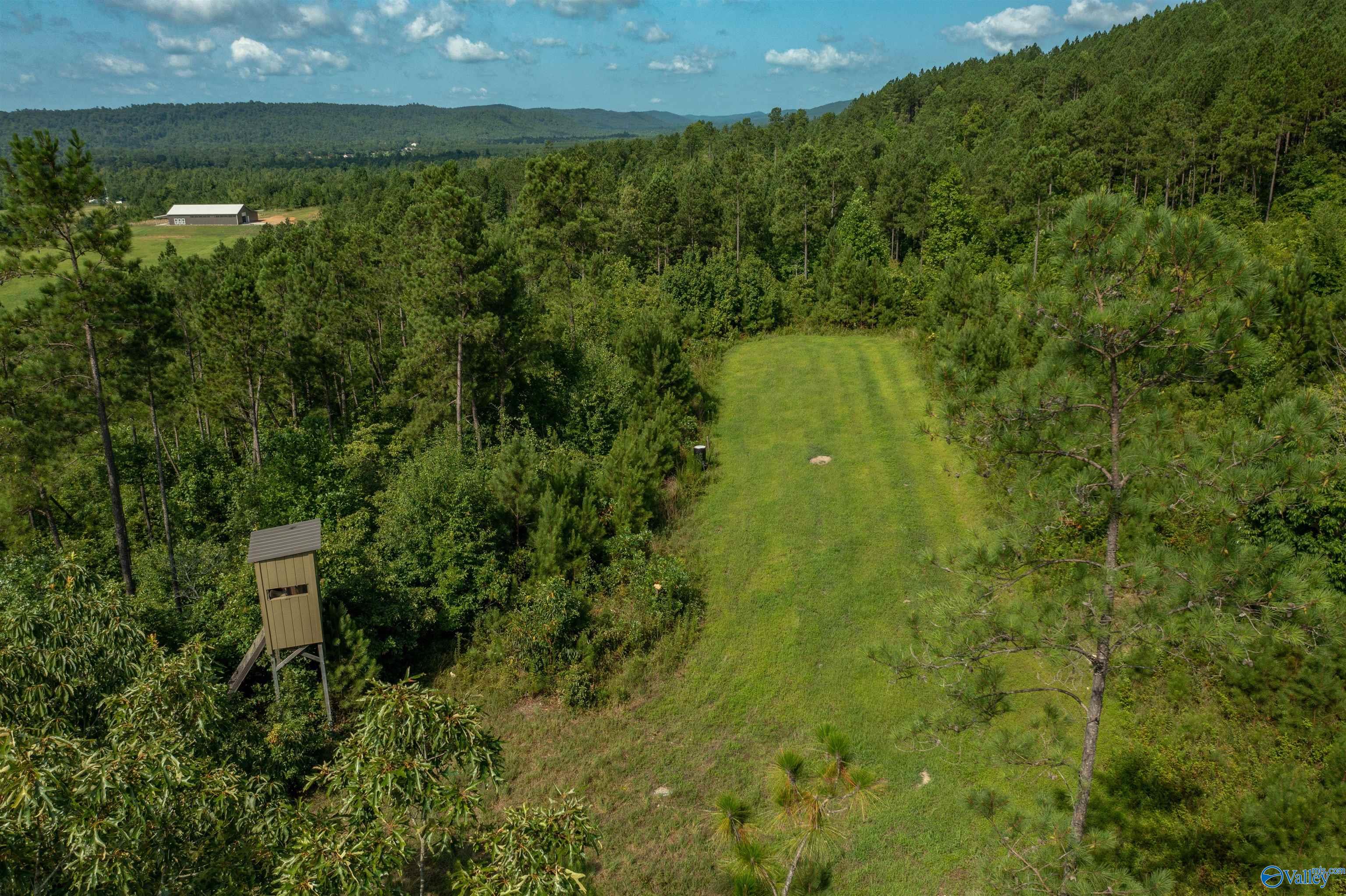 450 Armstrong Road, Ashville, Alabama image 7