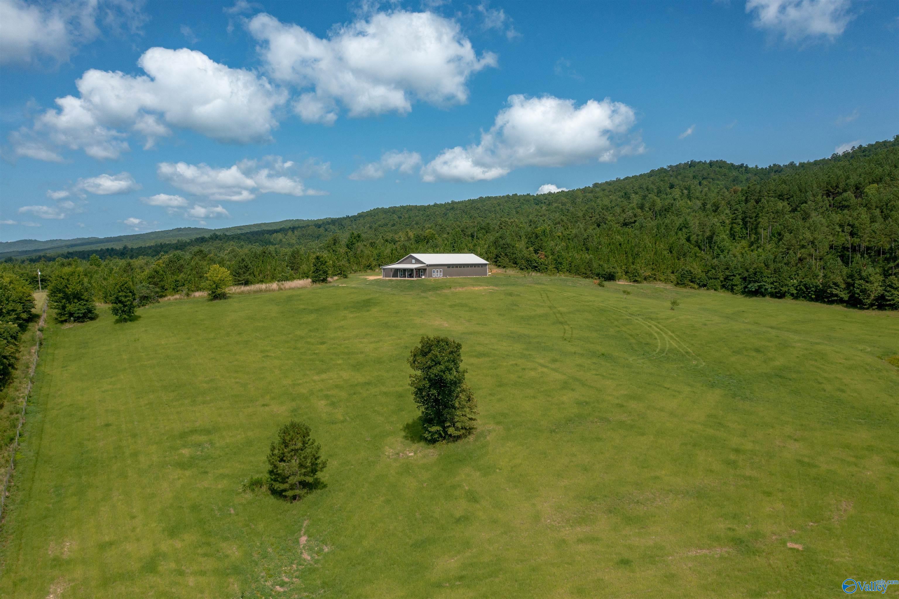 450 Armstrong Road, Ashville, Alabama image 5