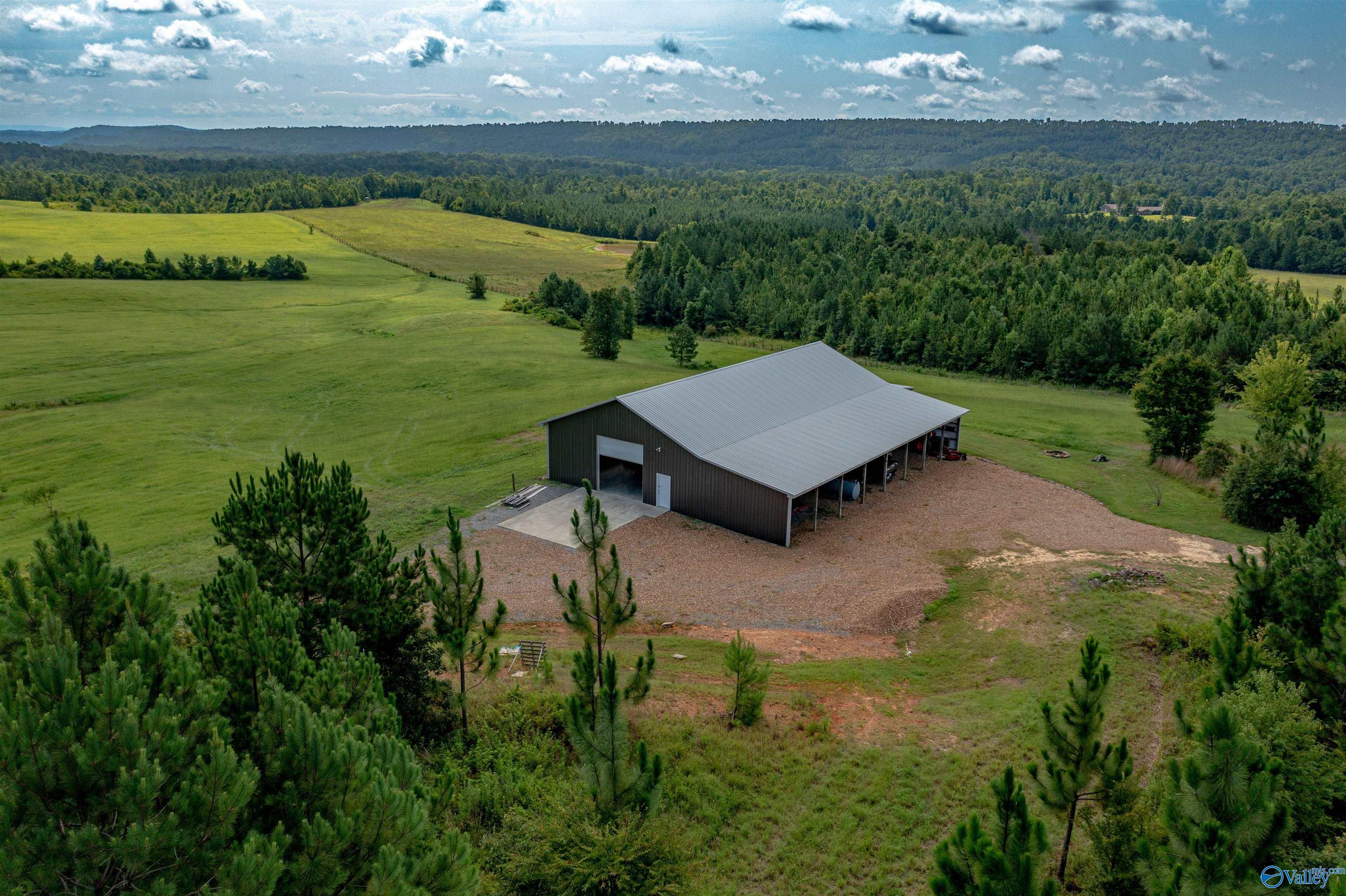 450 Armstrong Road, Ashville, Alabama image 1