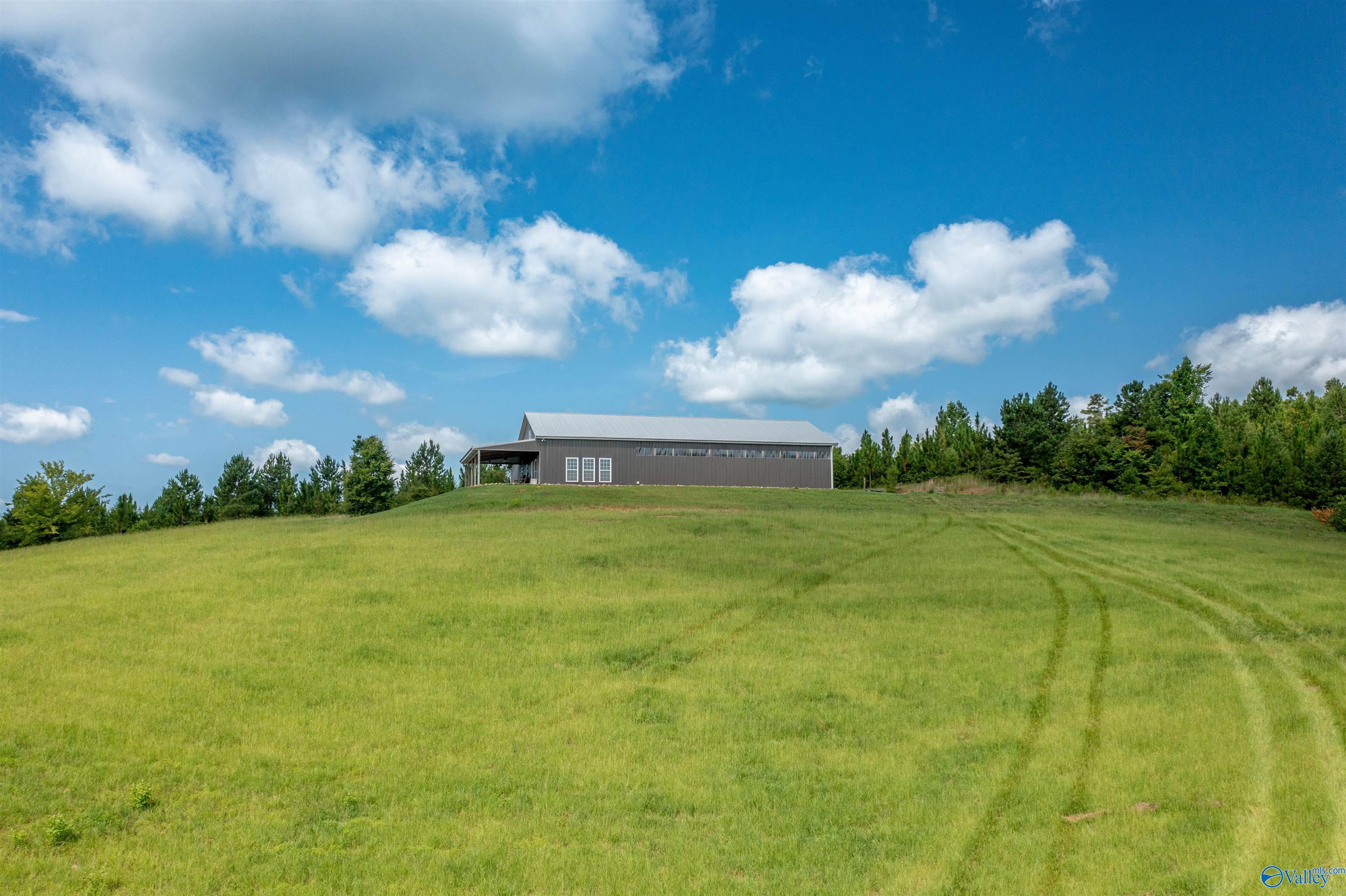 450 Armstrong Road, Ashville, Alabama image 4