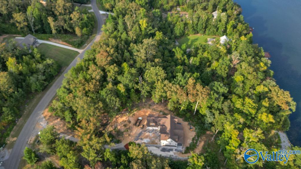 1927 Lookout Mountain Drive, Scottsboro, Alabama image 6