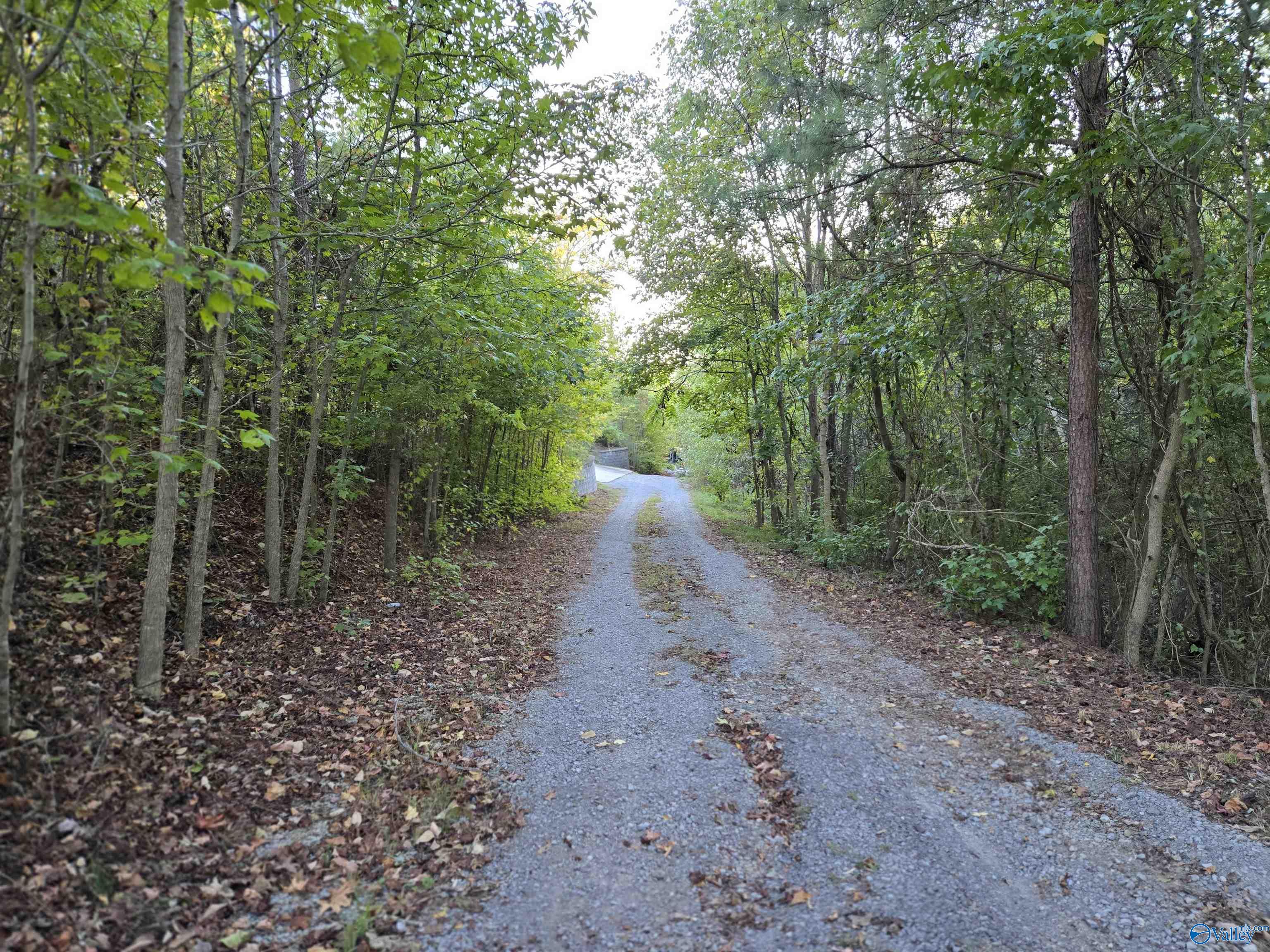 1927 Lookout Mountain Drive, Scottsboro, Alabama image 8