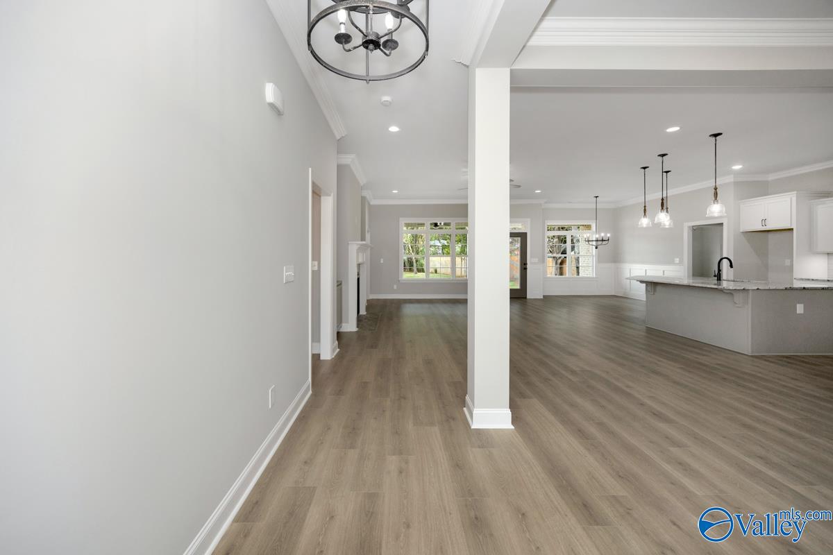 116 Timber Springs Court