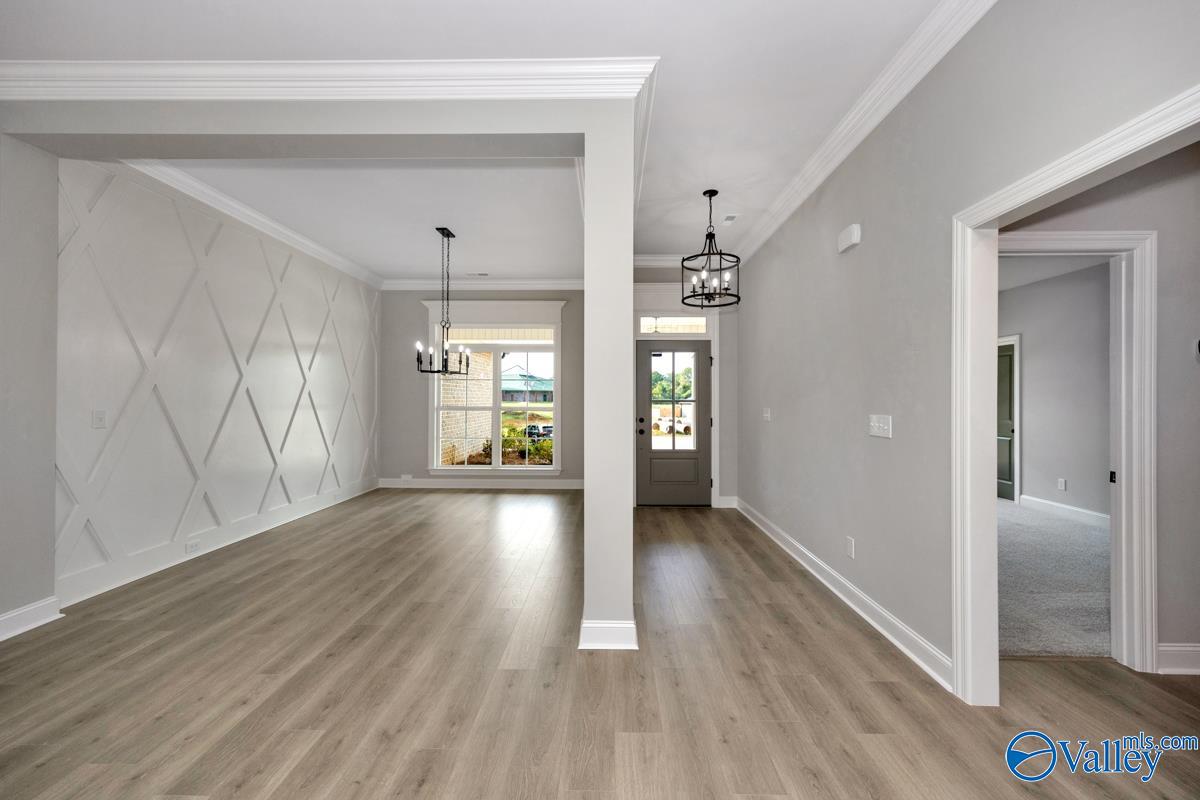 116 Timber Springs Court