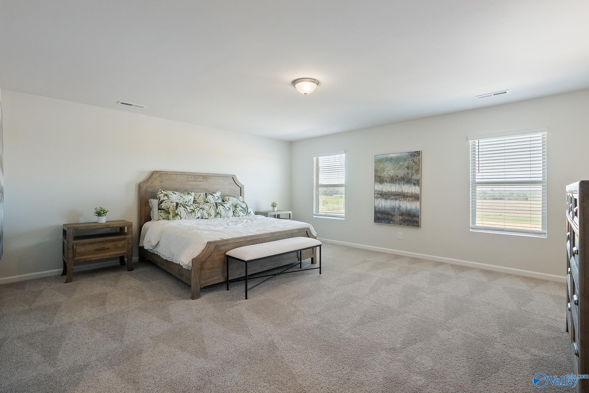 11117 Ravenel Drive, Harvest, Alabama image 20