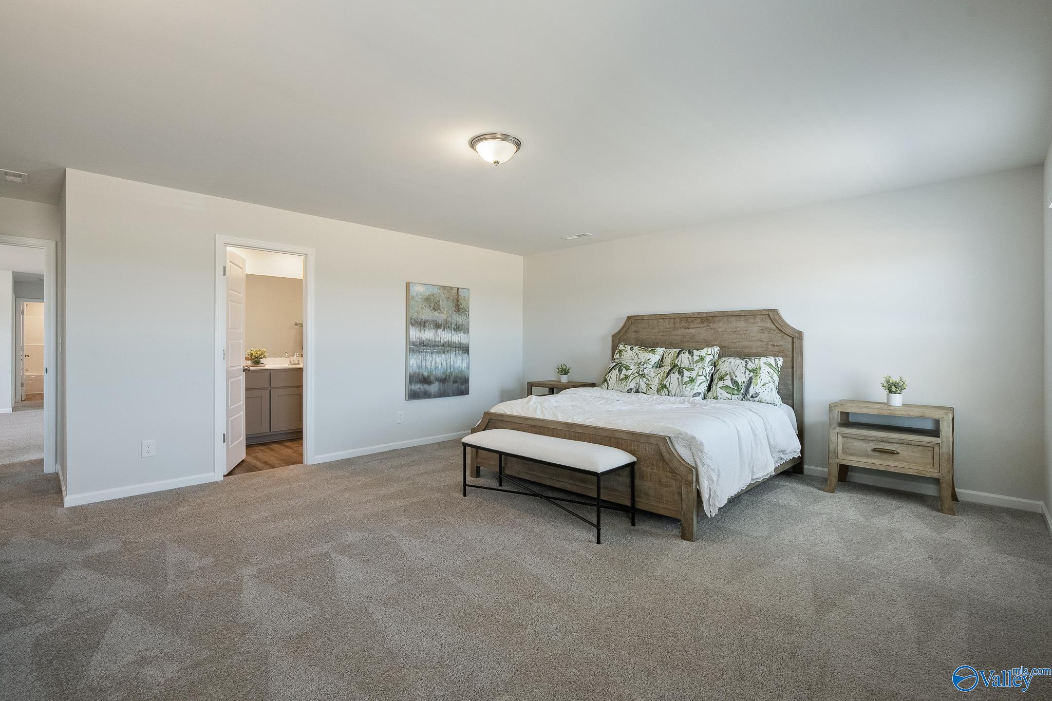 11117 Ravenel Drive, Harvest, Alabama image 19