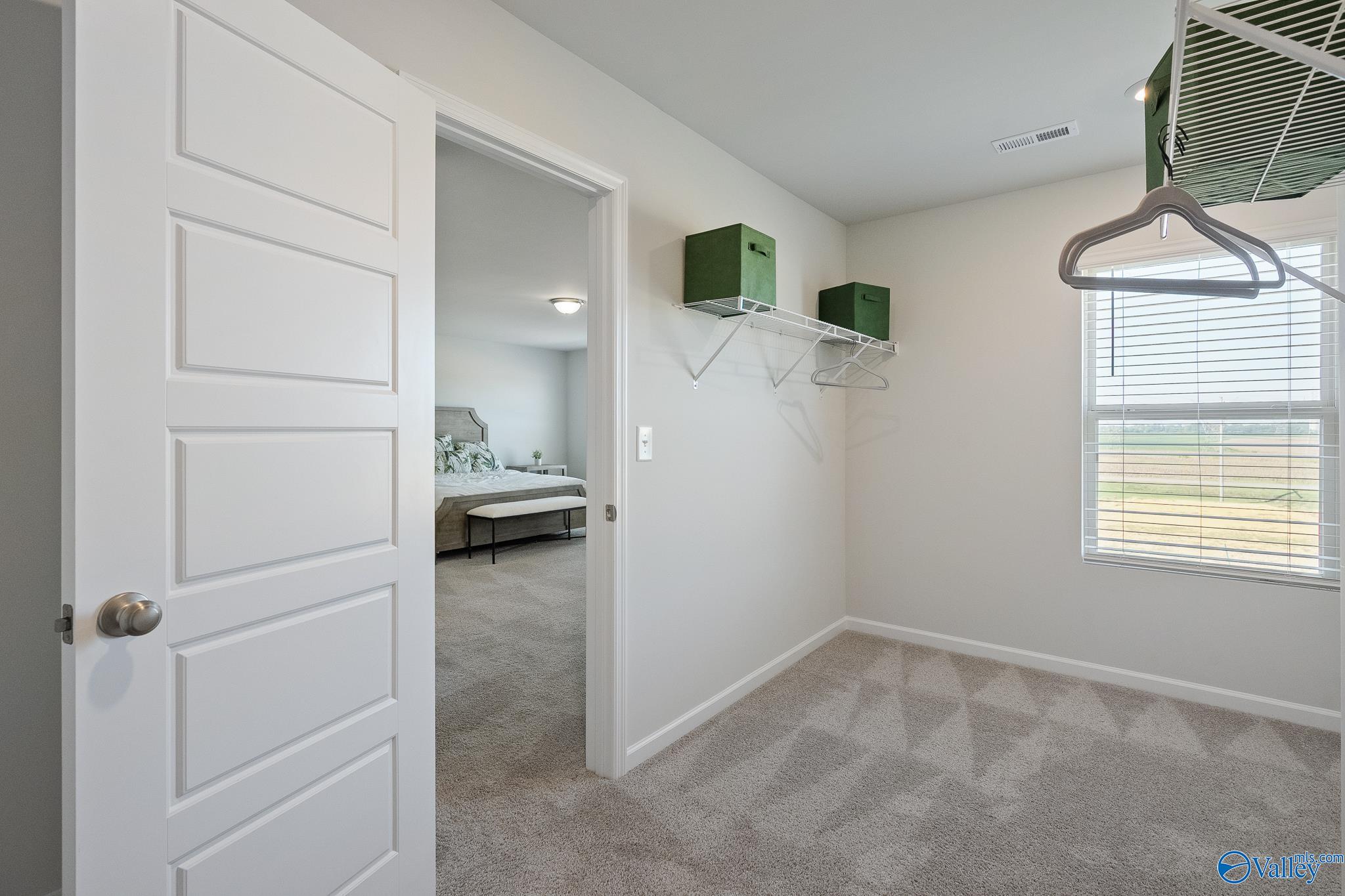 11117 Ravenel Drive, Harvest, Alabama image 22