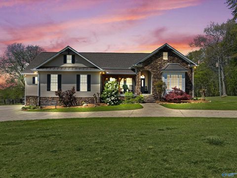 121 - 4.5 acres Sumners Road Horton AL 35980