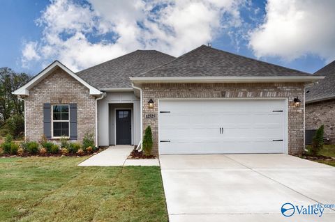 Homes For Sale - 12525 Juniors Drive<br/> Madison, AL 35756
