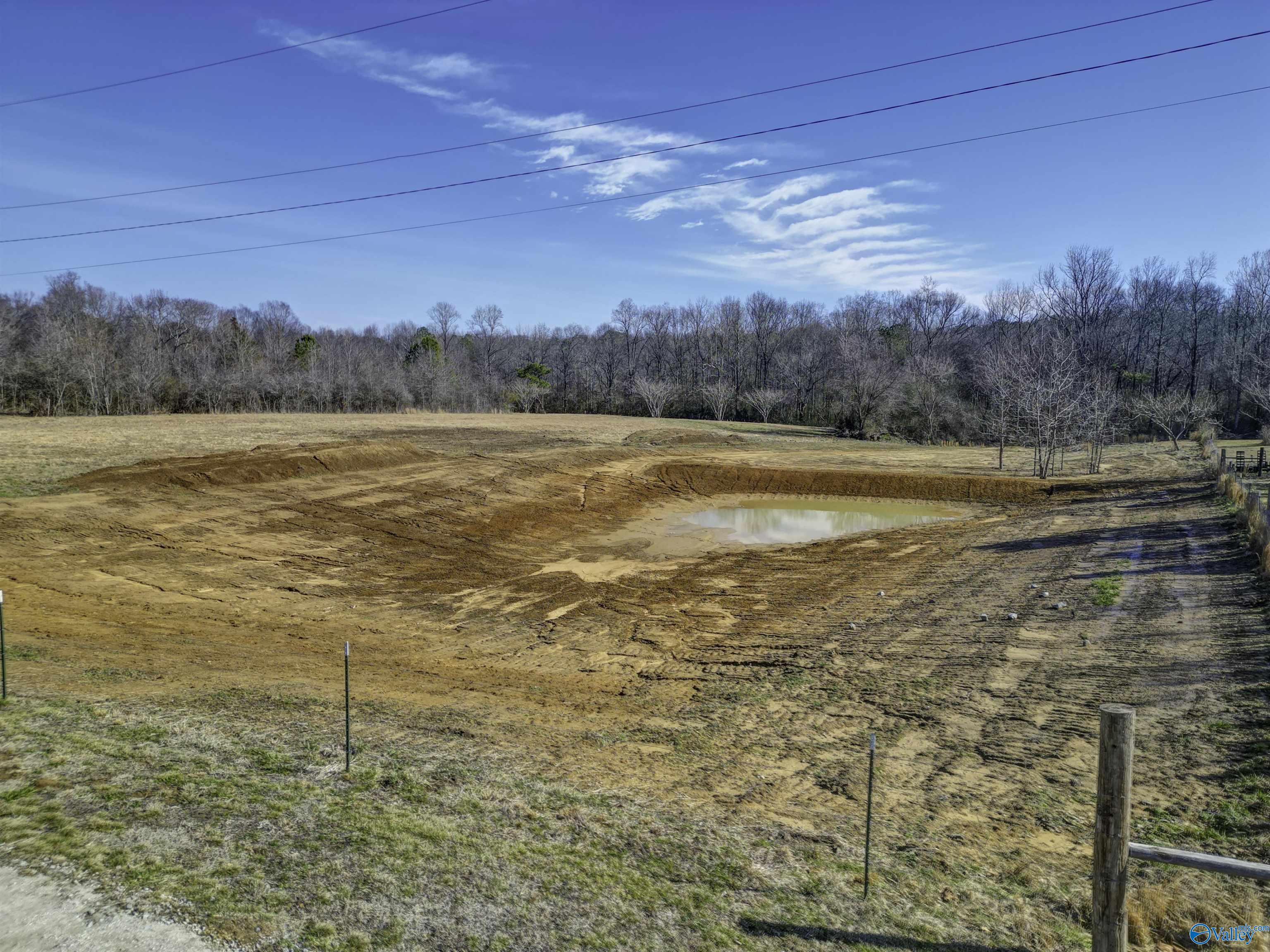 705 Vines Street, Arab, Alabama image 22