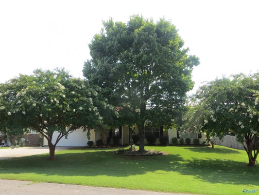 105 ROYALTY CT, MERIDIANVILLE, AL 35759 - Image 357af5165cb1e6f822147918e4873e35/433555014