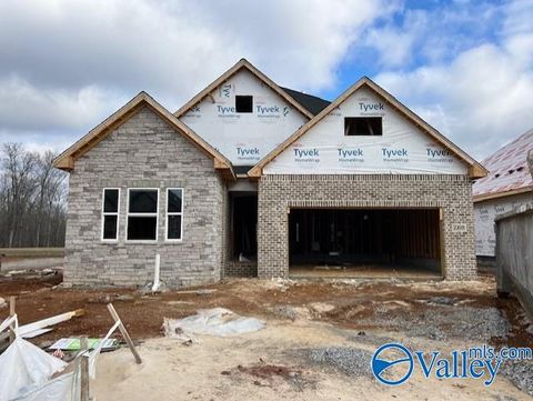 2136 Sevenbark Branch Huntsville AL 35802