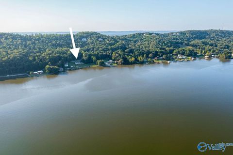 Photo of 5351 Lister Ferry Road, Rainbow City, AL 35906 (MLS # 21911119)