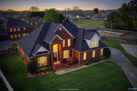 Photo of 3100 Table Rock Drive SW, Hartselle, AL 35640 (MLS # 21913208)