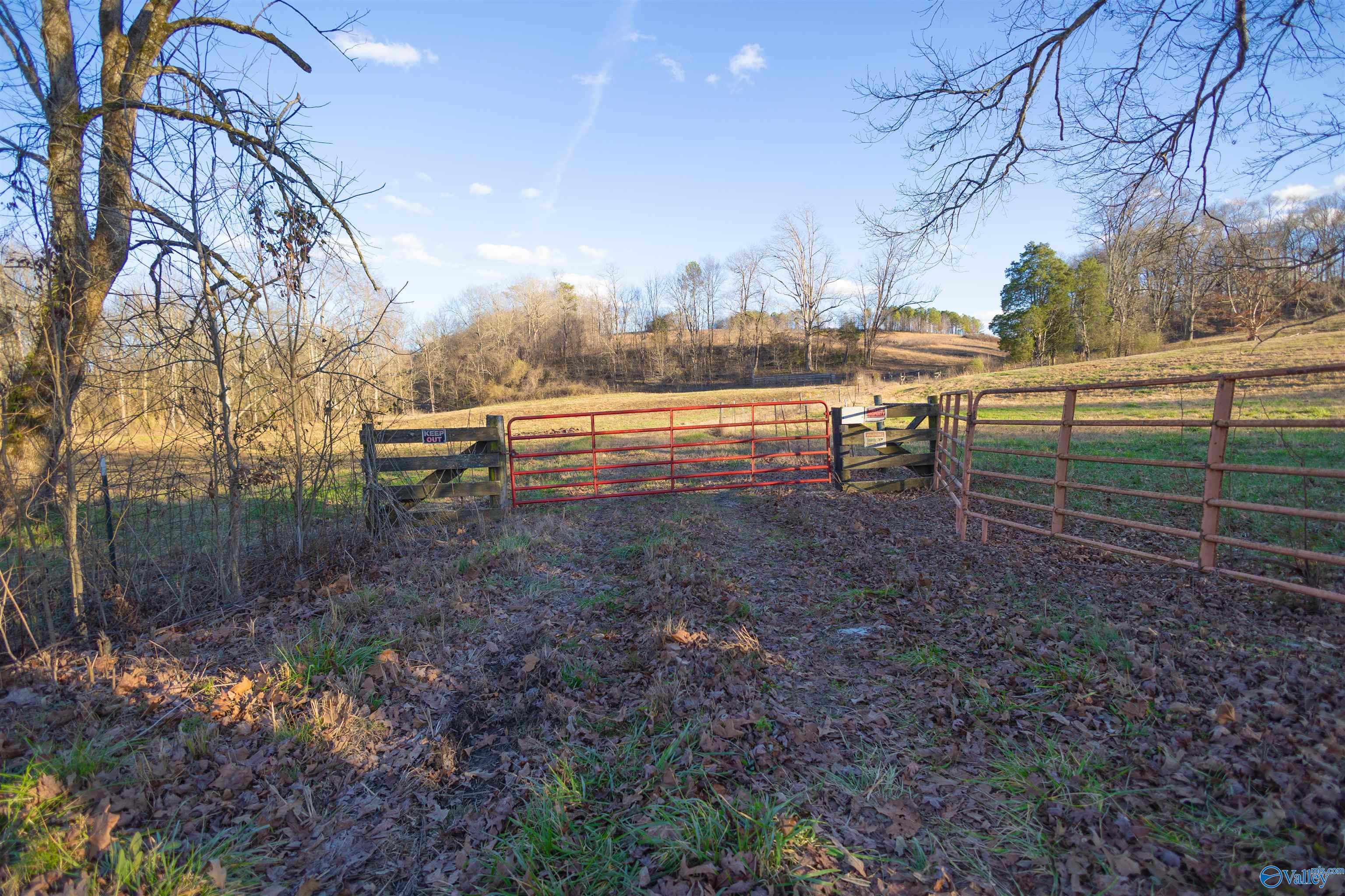 189 Acres Carnes Chapel Road, Attalla, Alabama image 35