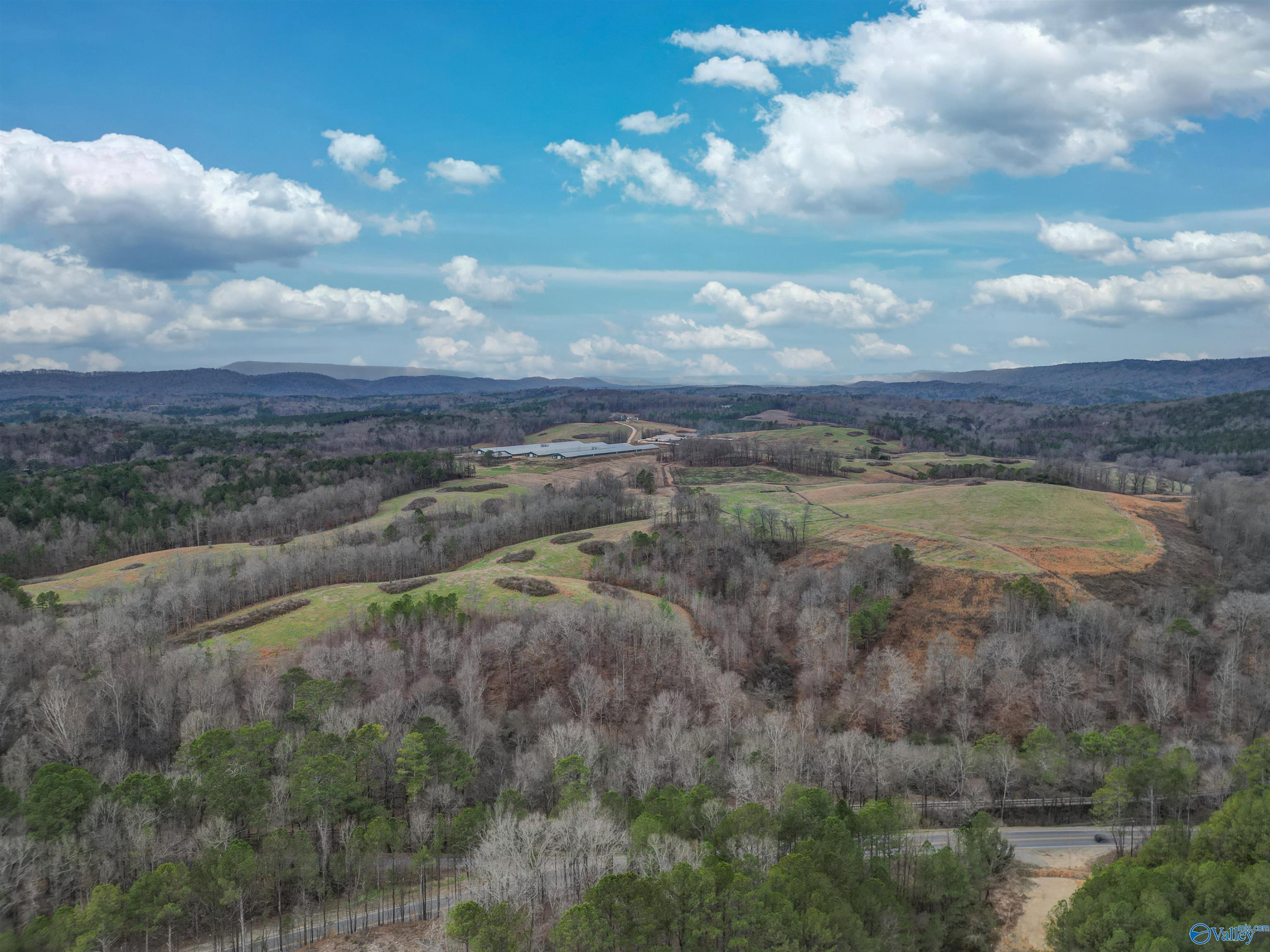 189 Acres Carnes Chapel Road, Attalla, Alabama image 4