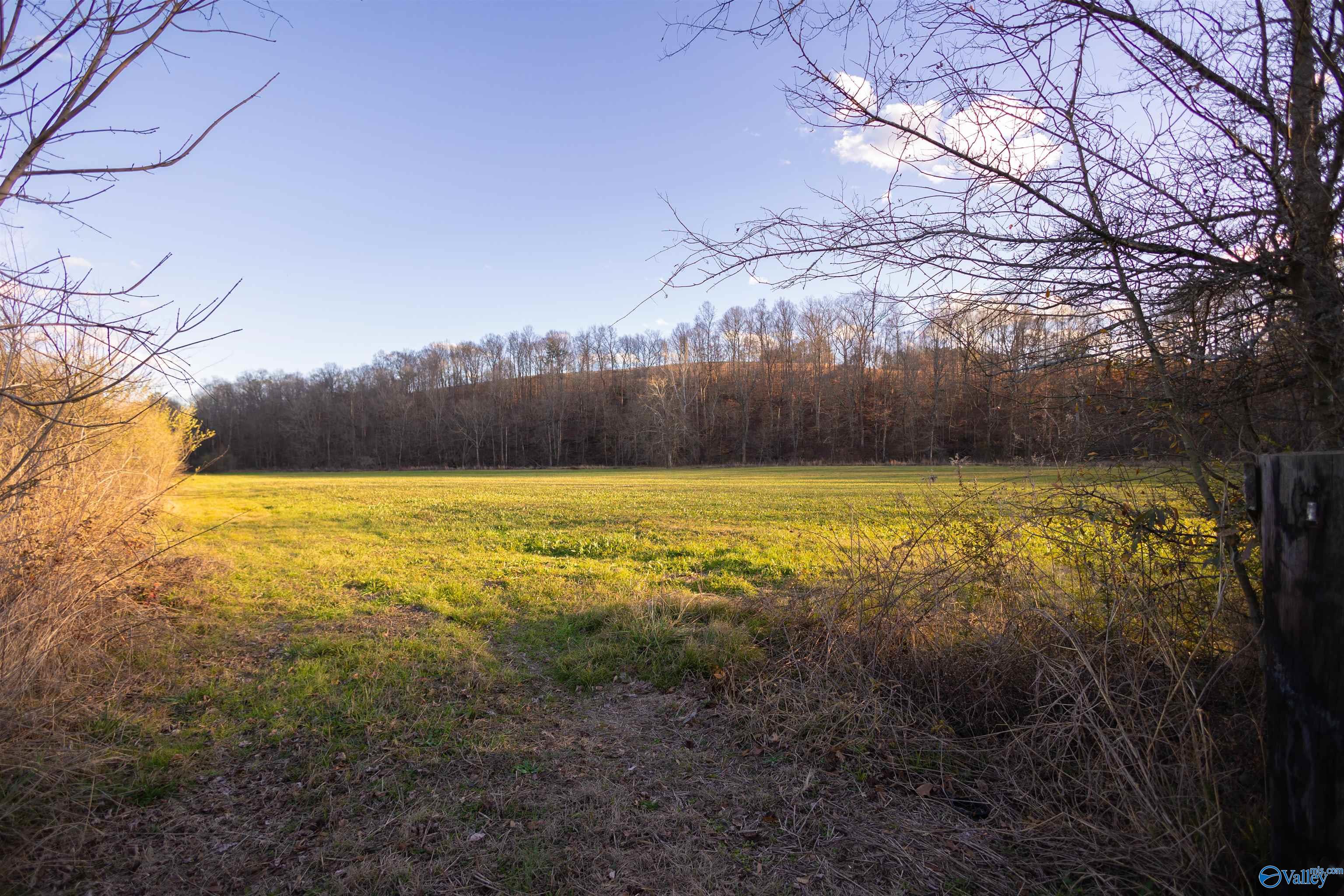 189 Acres Carnes Chapel Road, Attalla, Alabama image 37