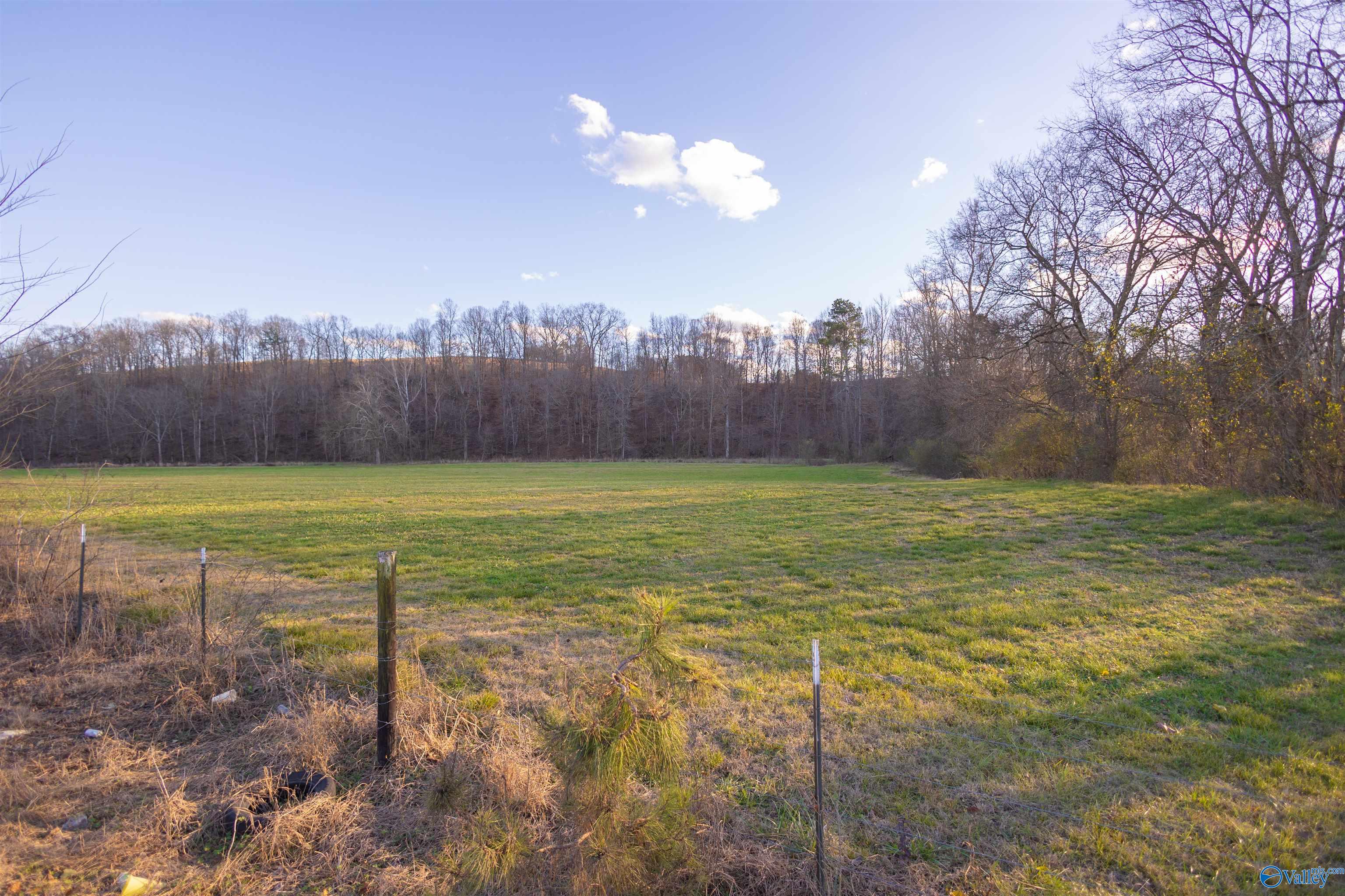 189 Acres Carnes Chapel Road, Attalla, Alabama image 39