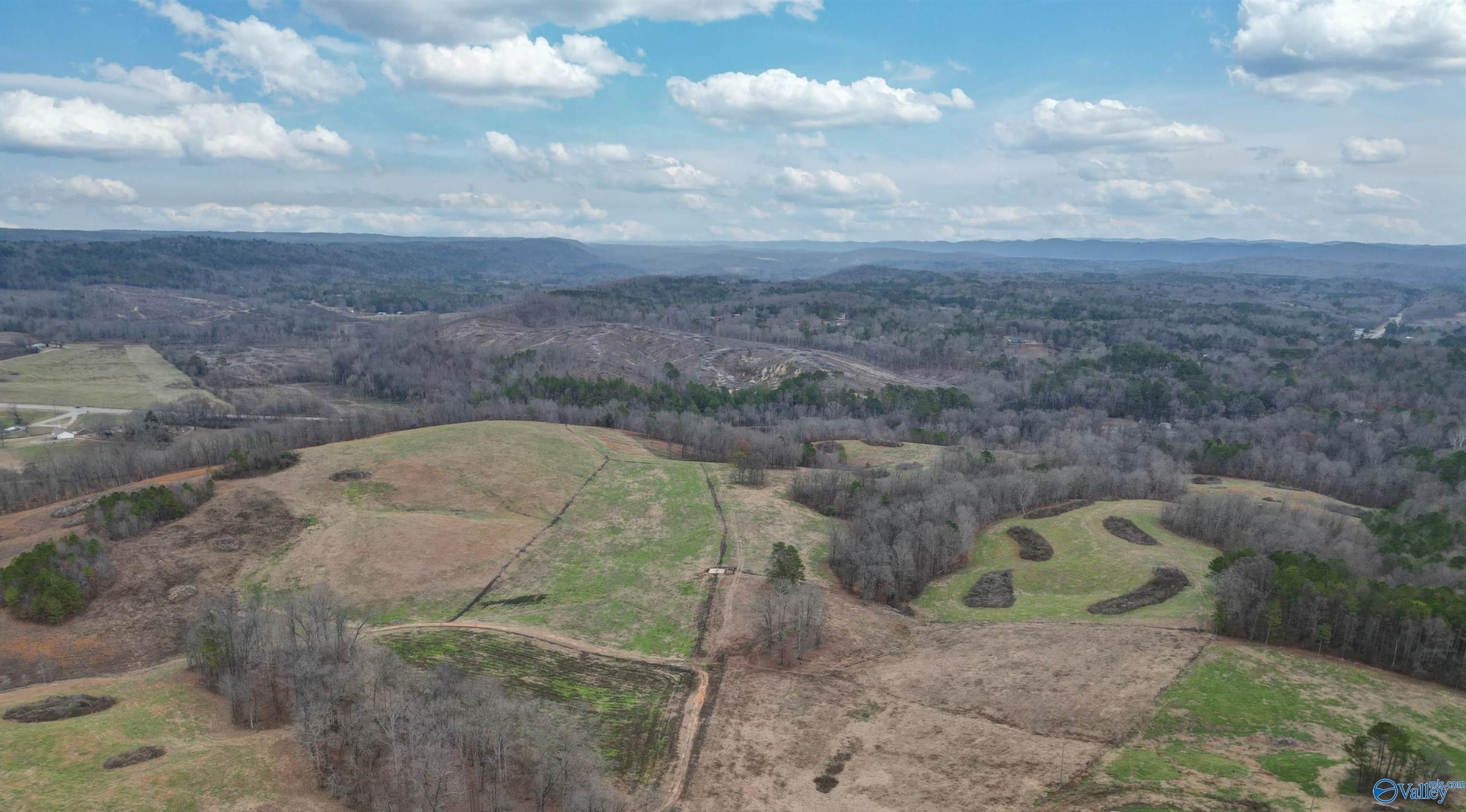 189 Acres Carnes Chapel Road, Attalla, Alabama image 6