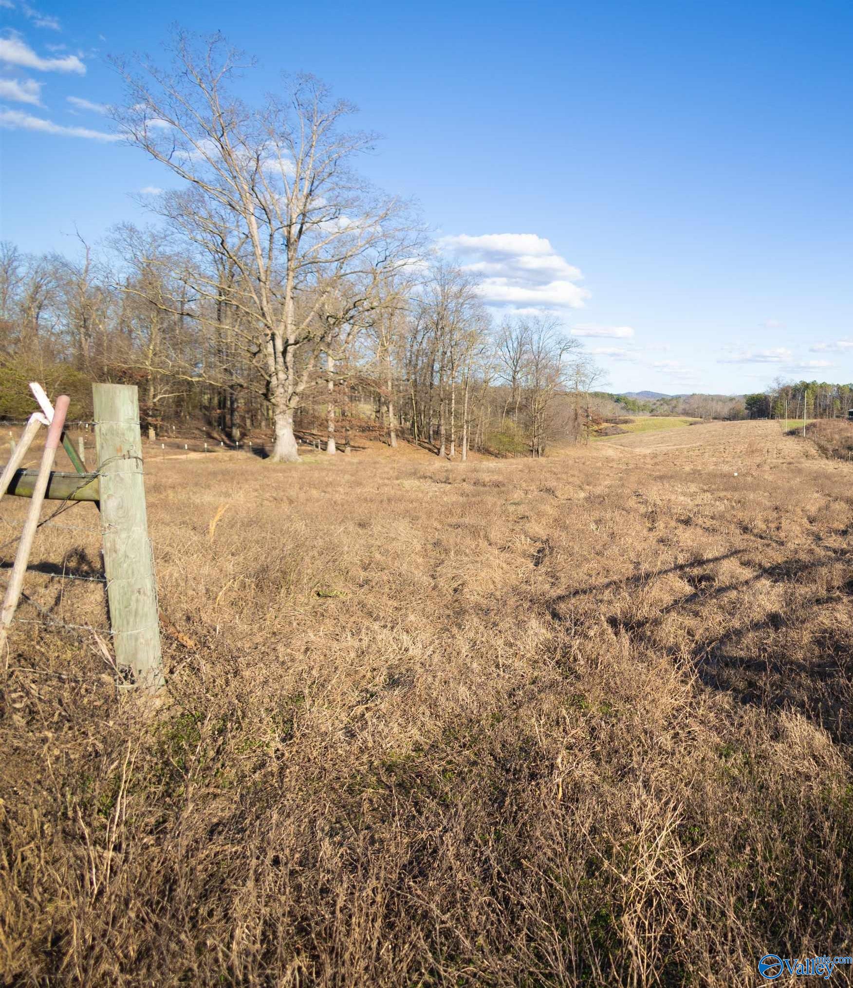 189 Acres Carnes Chapel Road, Attalla, Alabama image 24