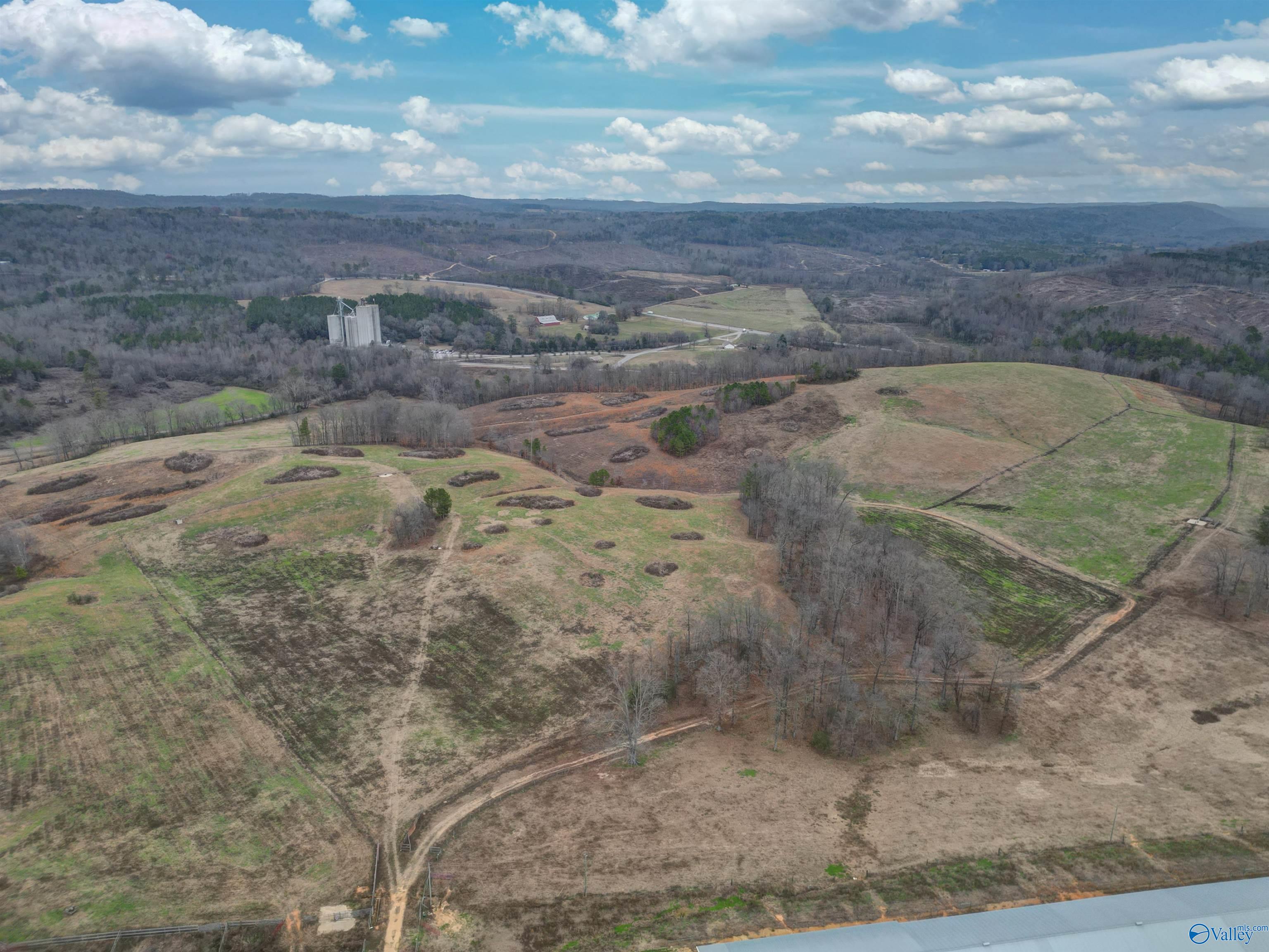 189 Acres Carnes Chapel Road, Attalla, Alabama image 8