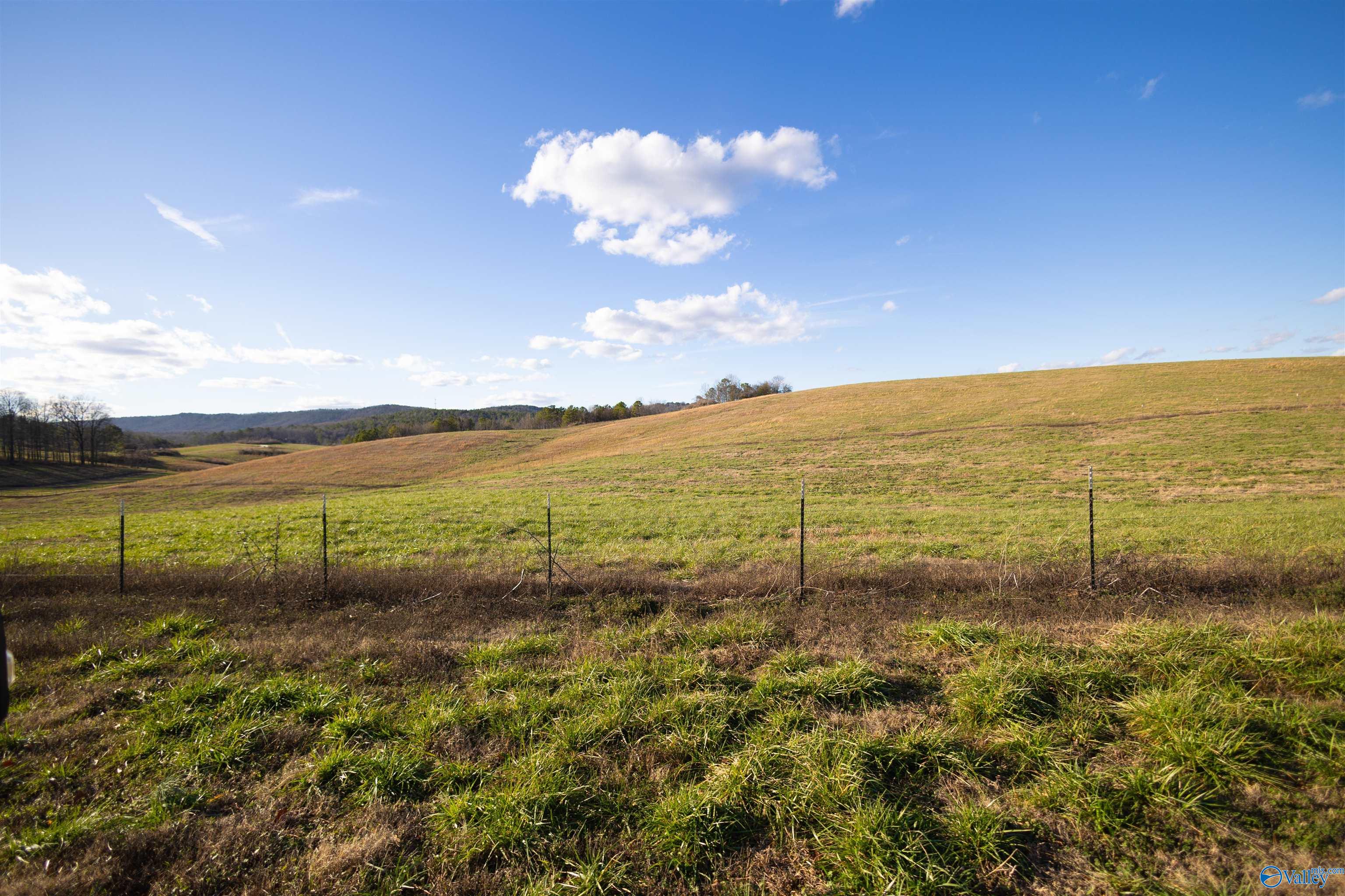 189 Acres Carnes Chapel Road, Attalla, Alabama image 32