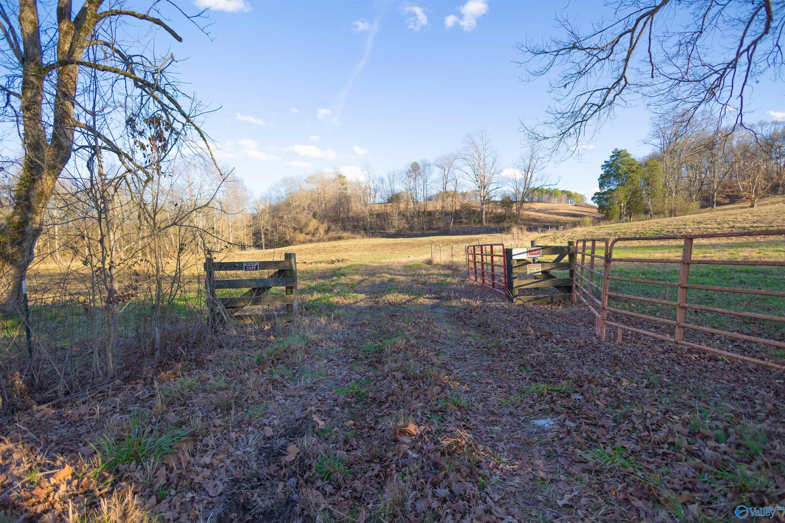 189 Acres Carnes Chapel Road, Attalla, Alabama image 34