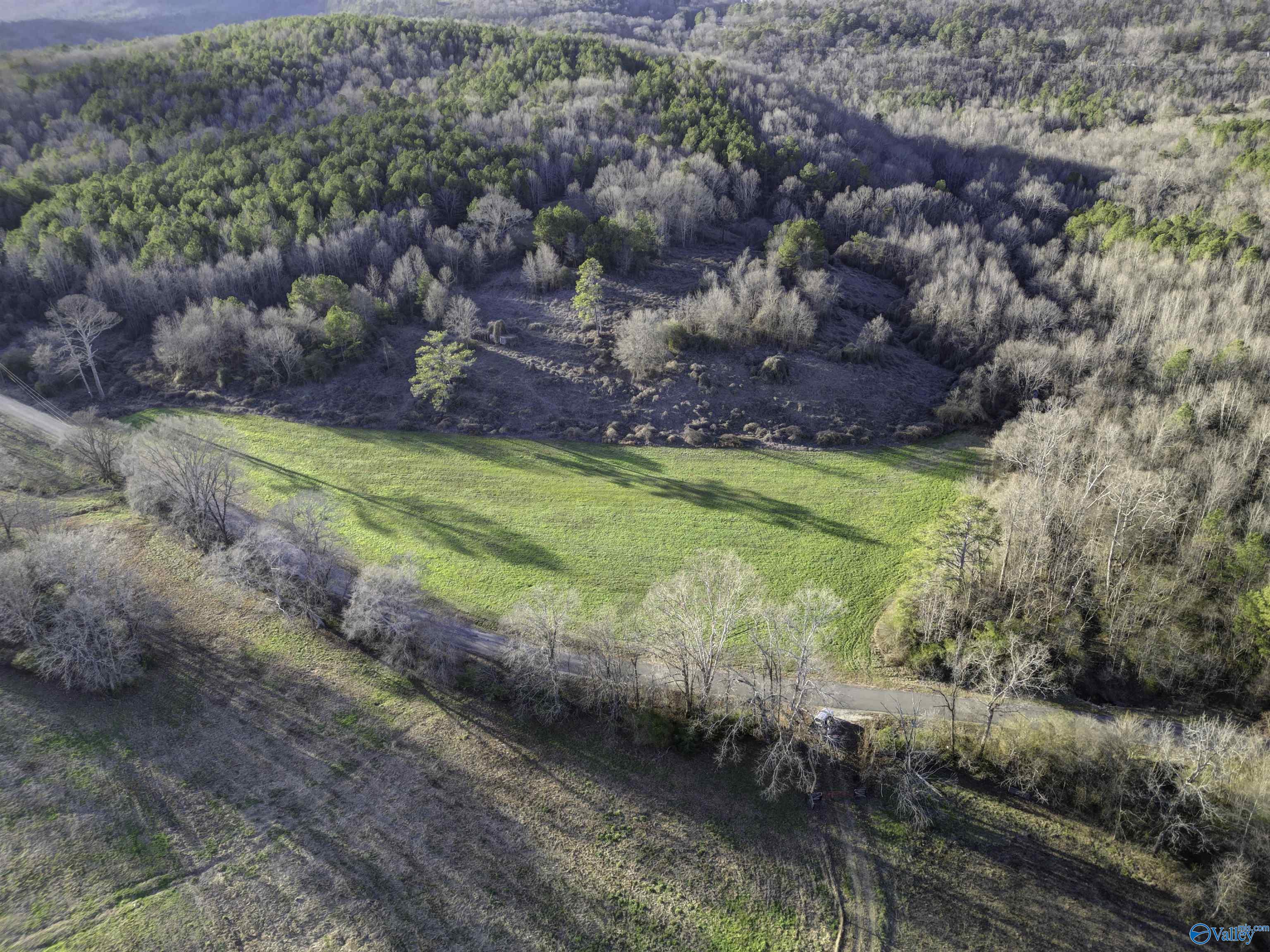 189 Acres Carnes Chapel Road, Attalla, Alabama image 40