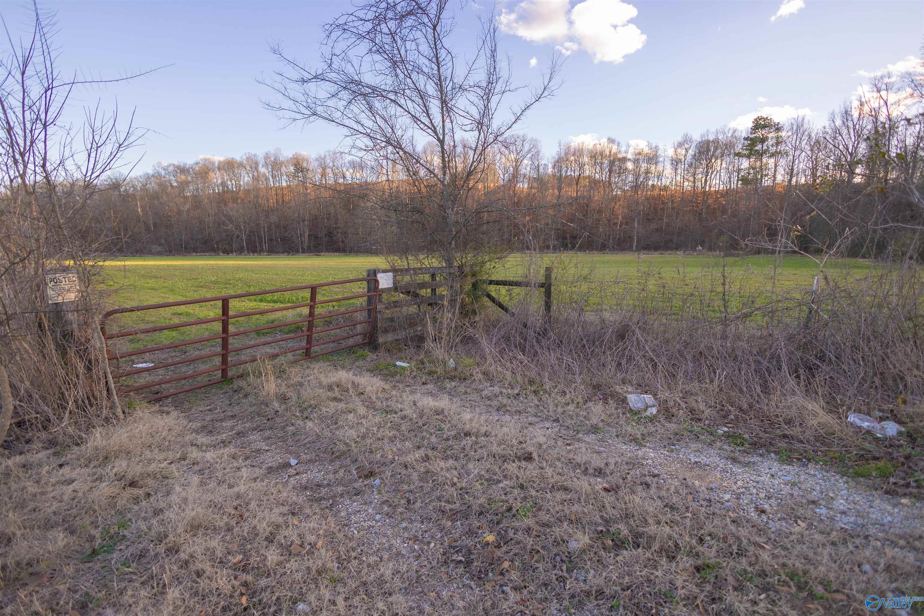 189 Acres Carnes Chapel Road, Attalla, Alabama image 38