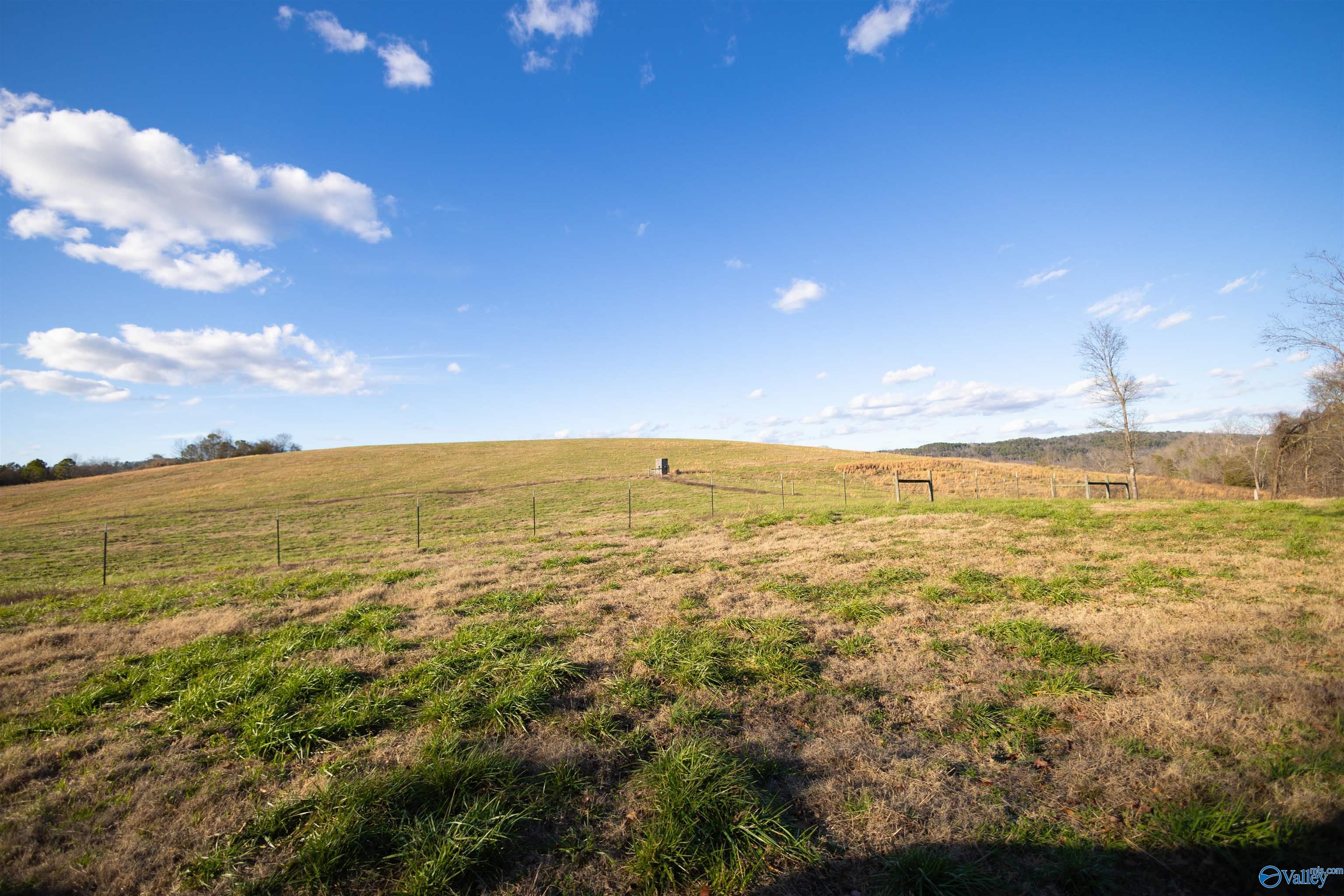 189 Acres Carnes Chapel Road, Attalla, Alabama image 31