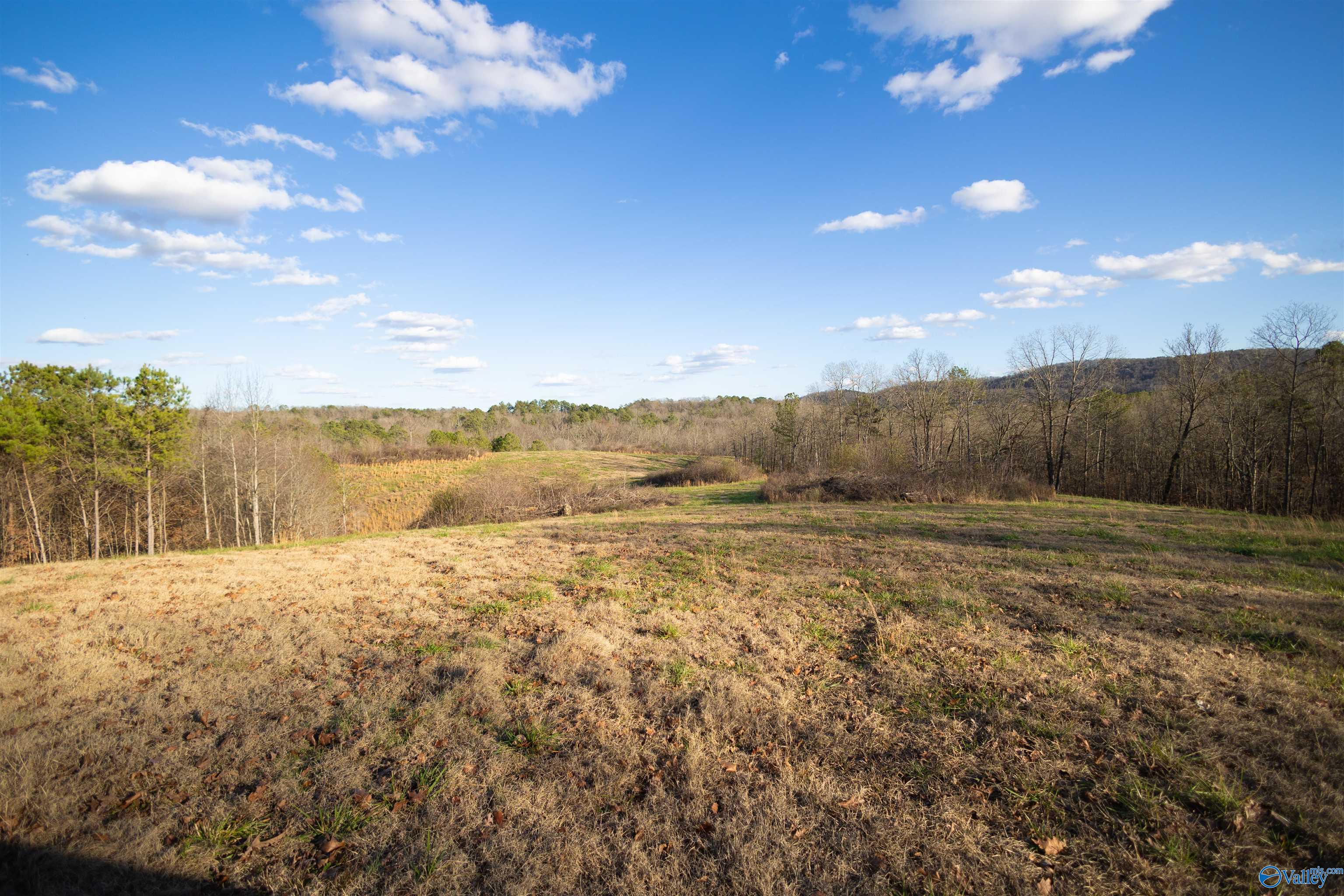 189 Acres Carnes Chapel Road, Attalla, Alabama image 30