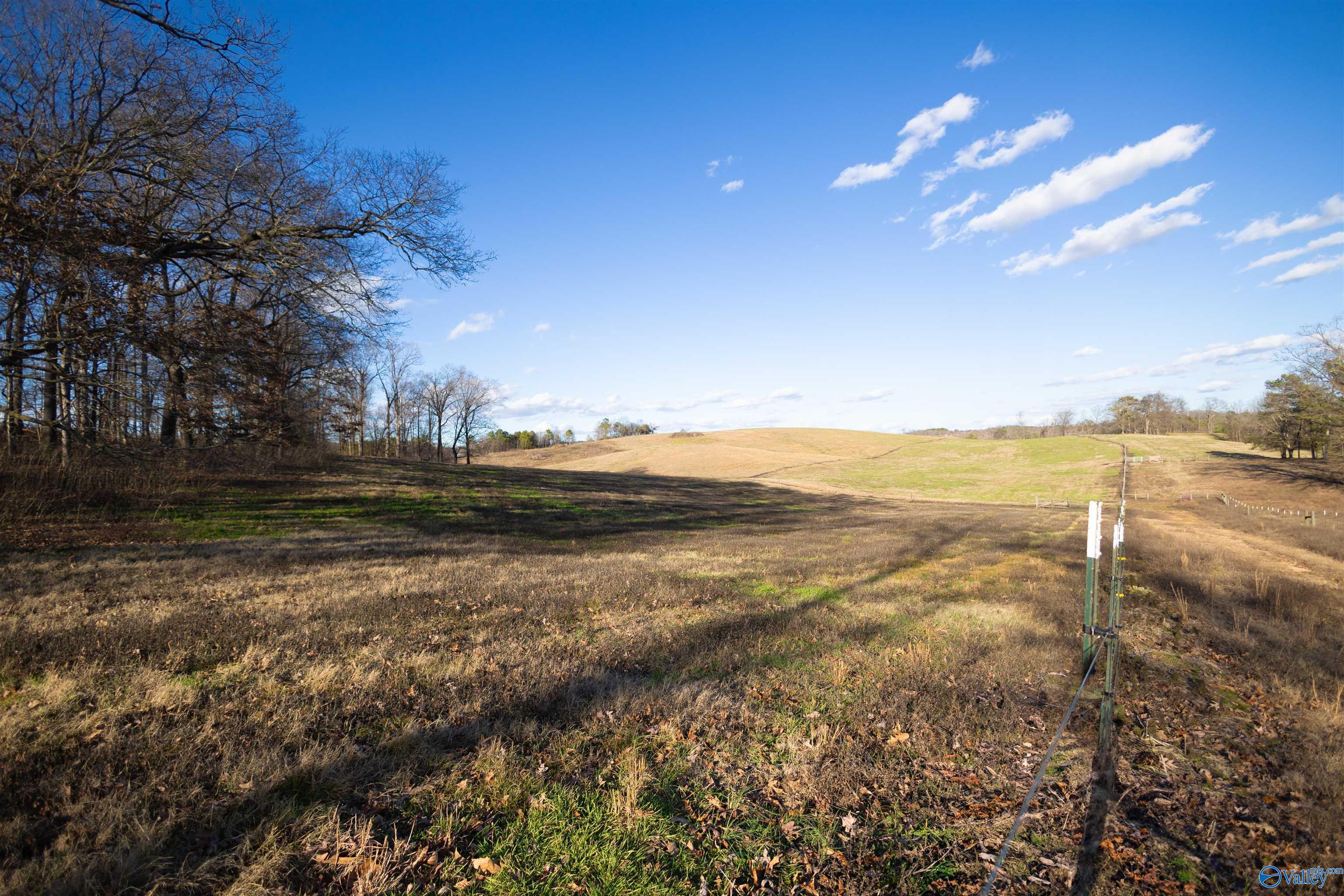 189 Acres Carnes Chapel Road, Attalla, Alabama image 27