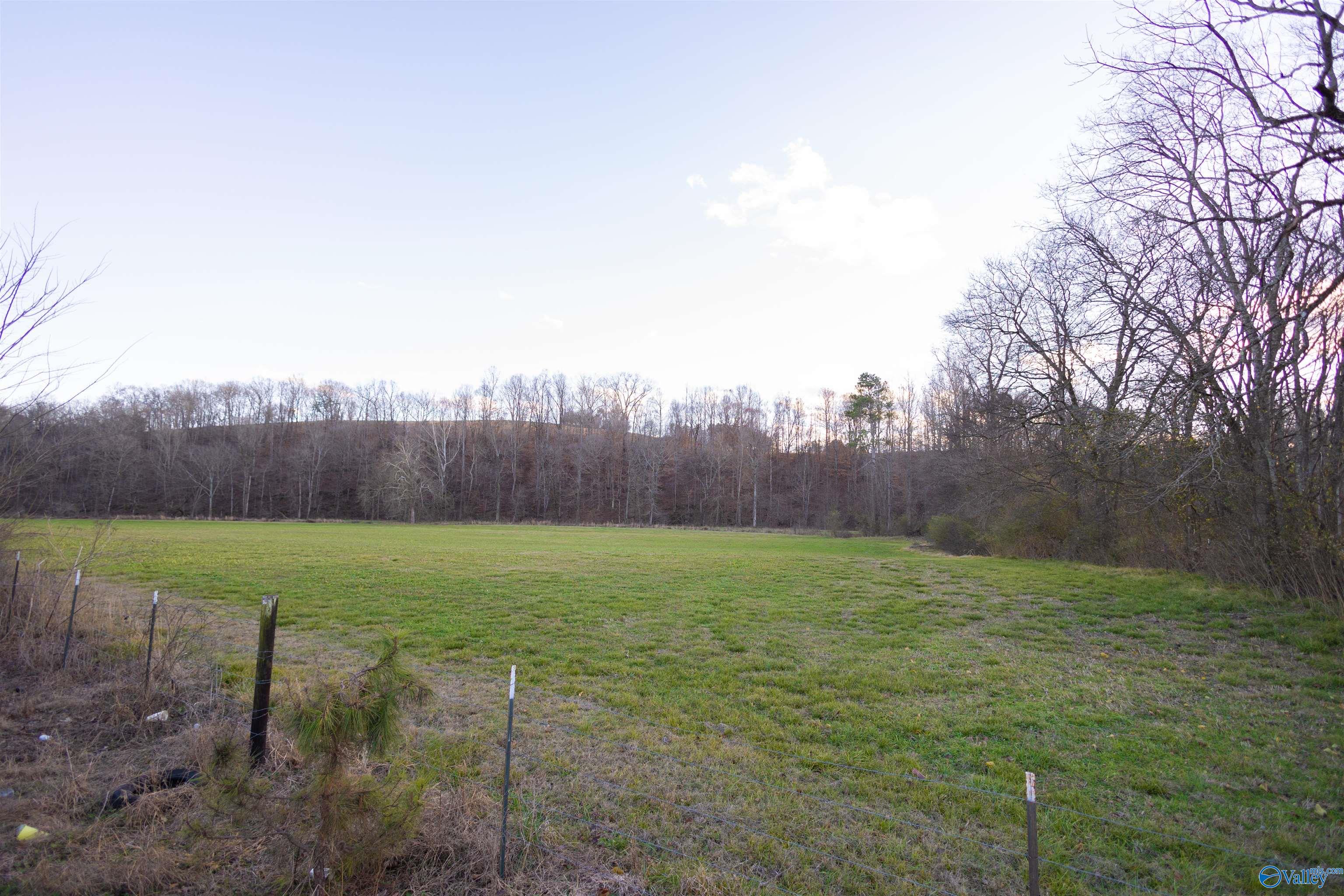 189 Acres Carnes Chapel Road, Attalla, Alabama image 36