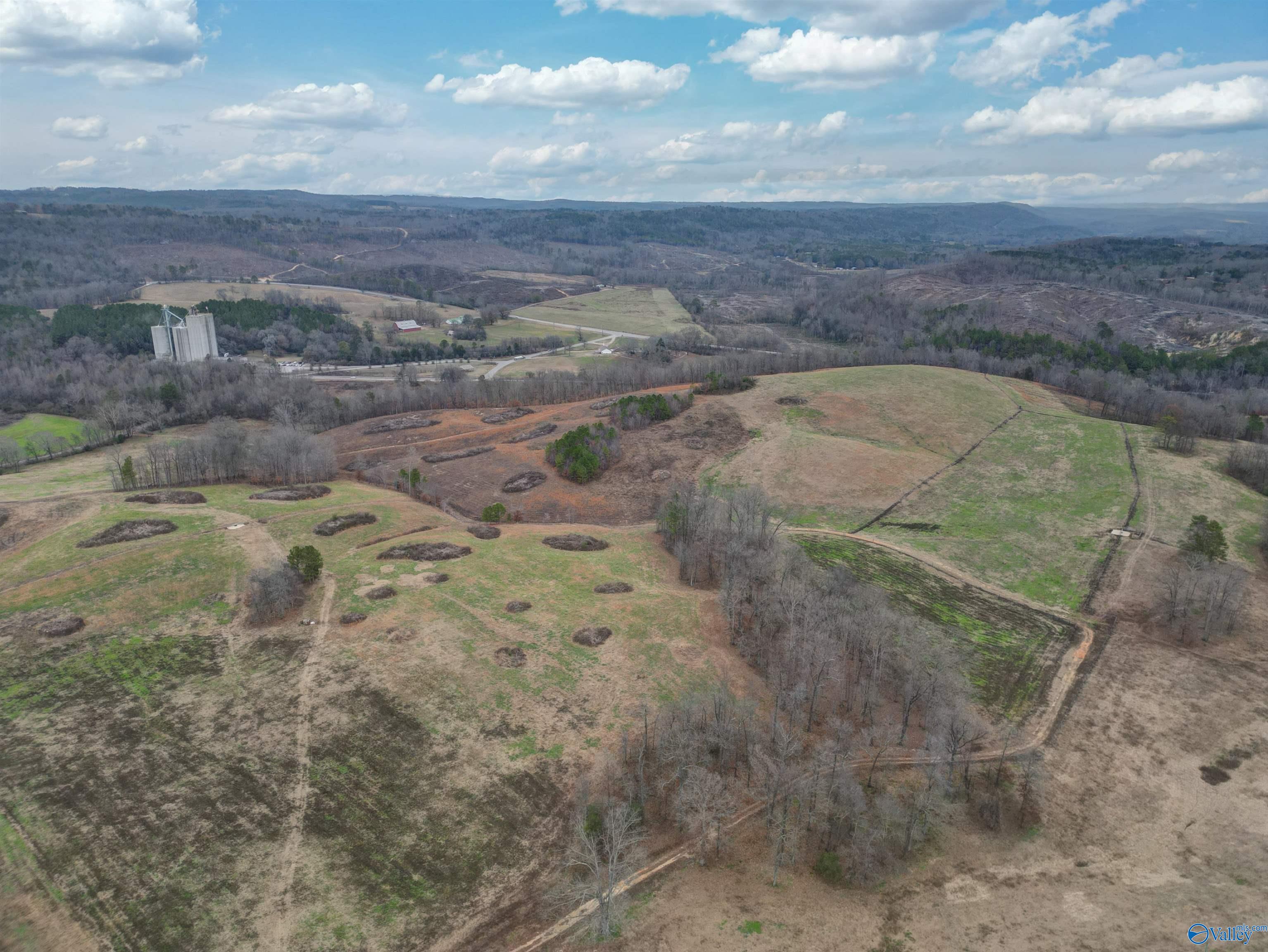 189 Acres Carnes Chapel Road, Attalla, Alabama image 1