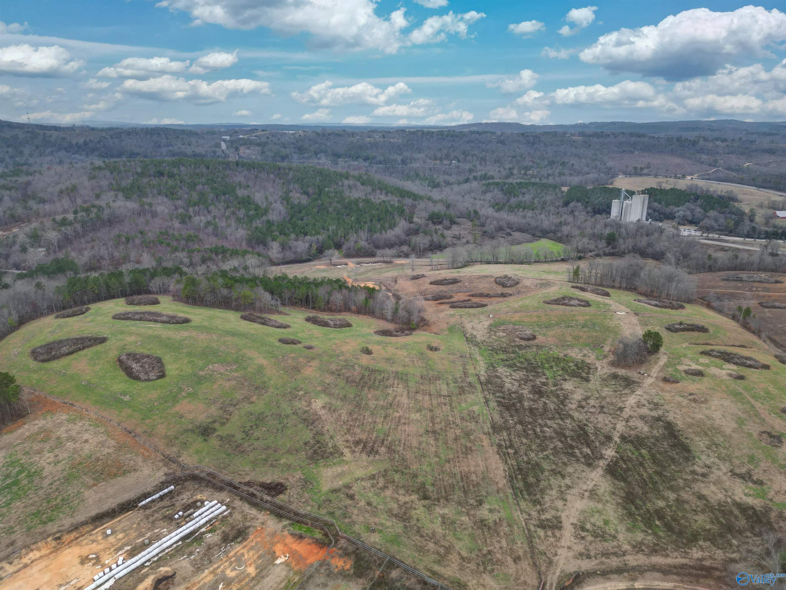 189 Acres Carnes Chapel Road, Attalla, Alabama image 7