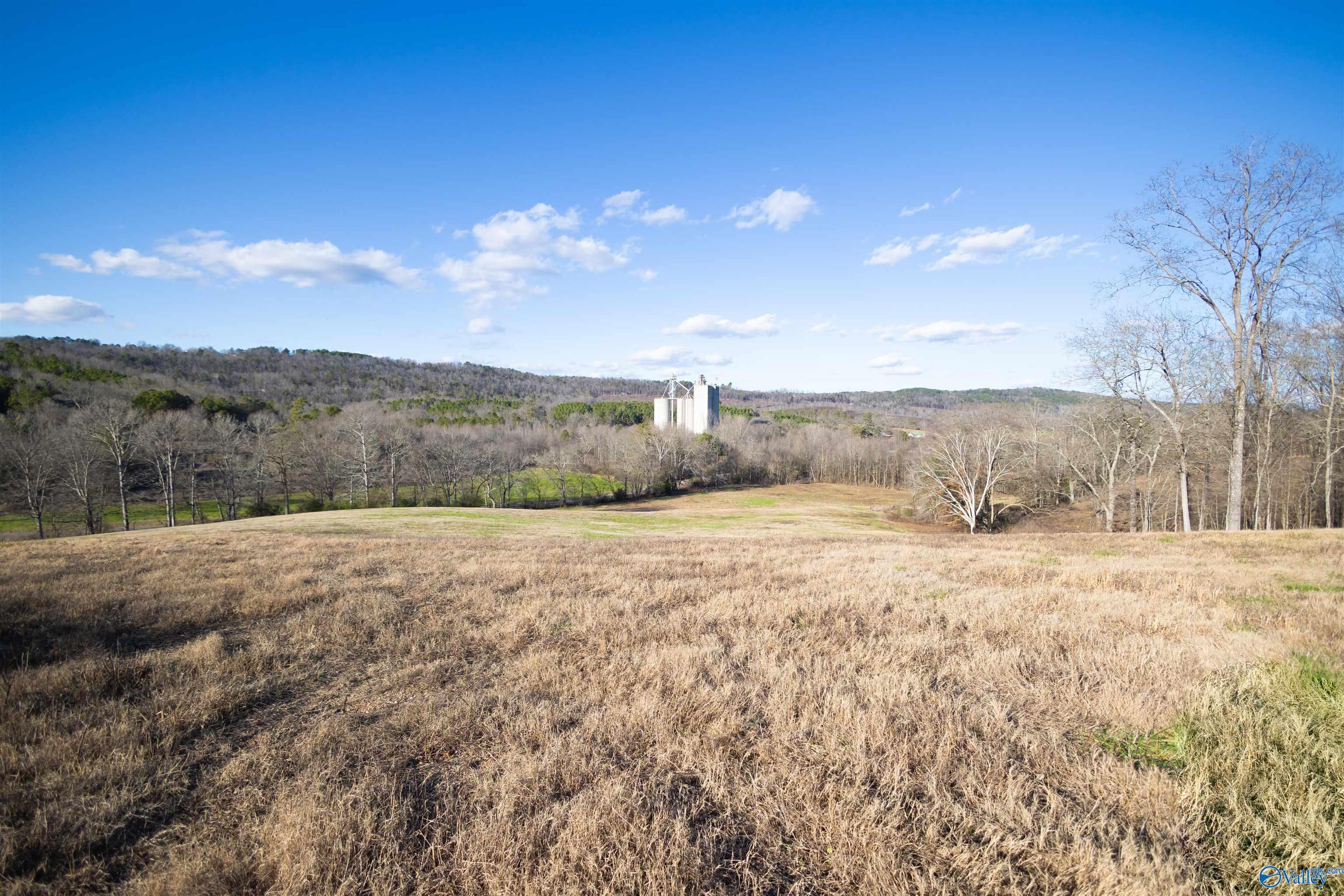 189 Acres Carnes Chapel Road, Attalla, Alabama image 18