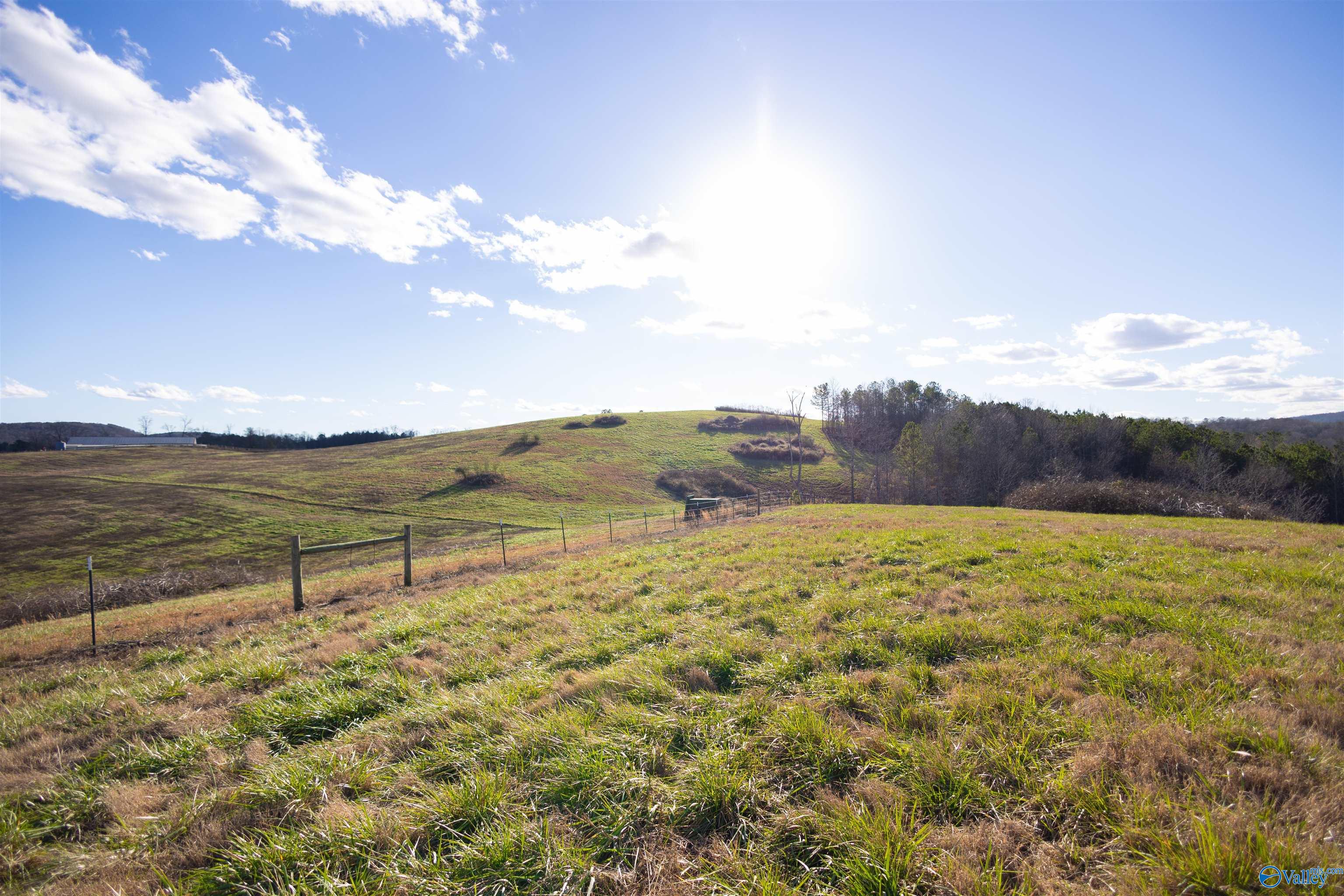 189 Acres Carnes Chapel Road, Attalla, Alabama image 19